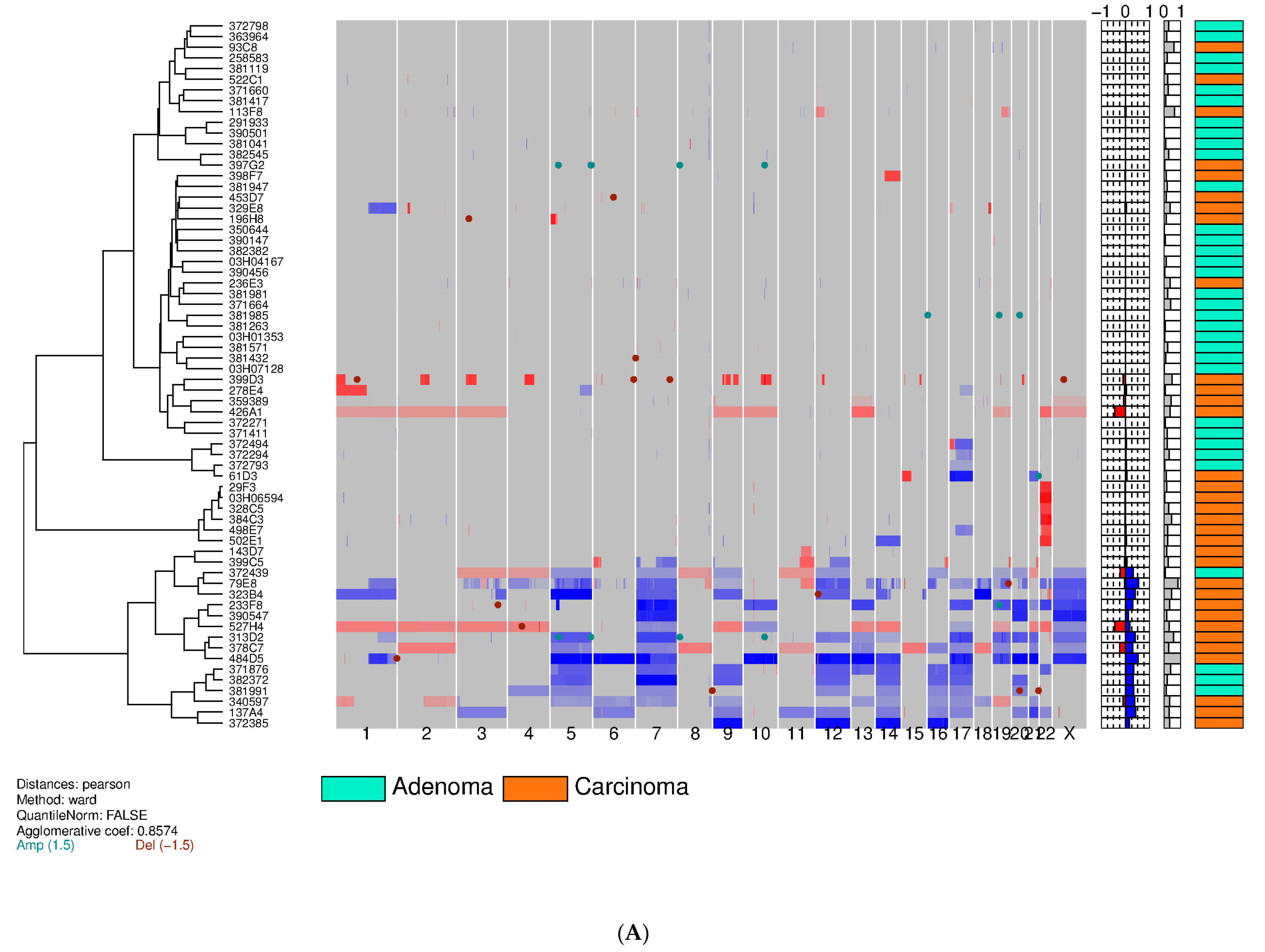 Cancers 12 02529 g002a Cancers 12 02529 g002a