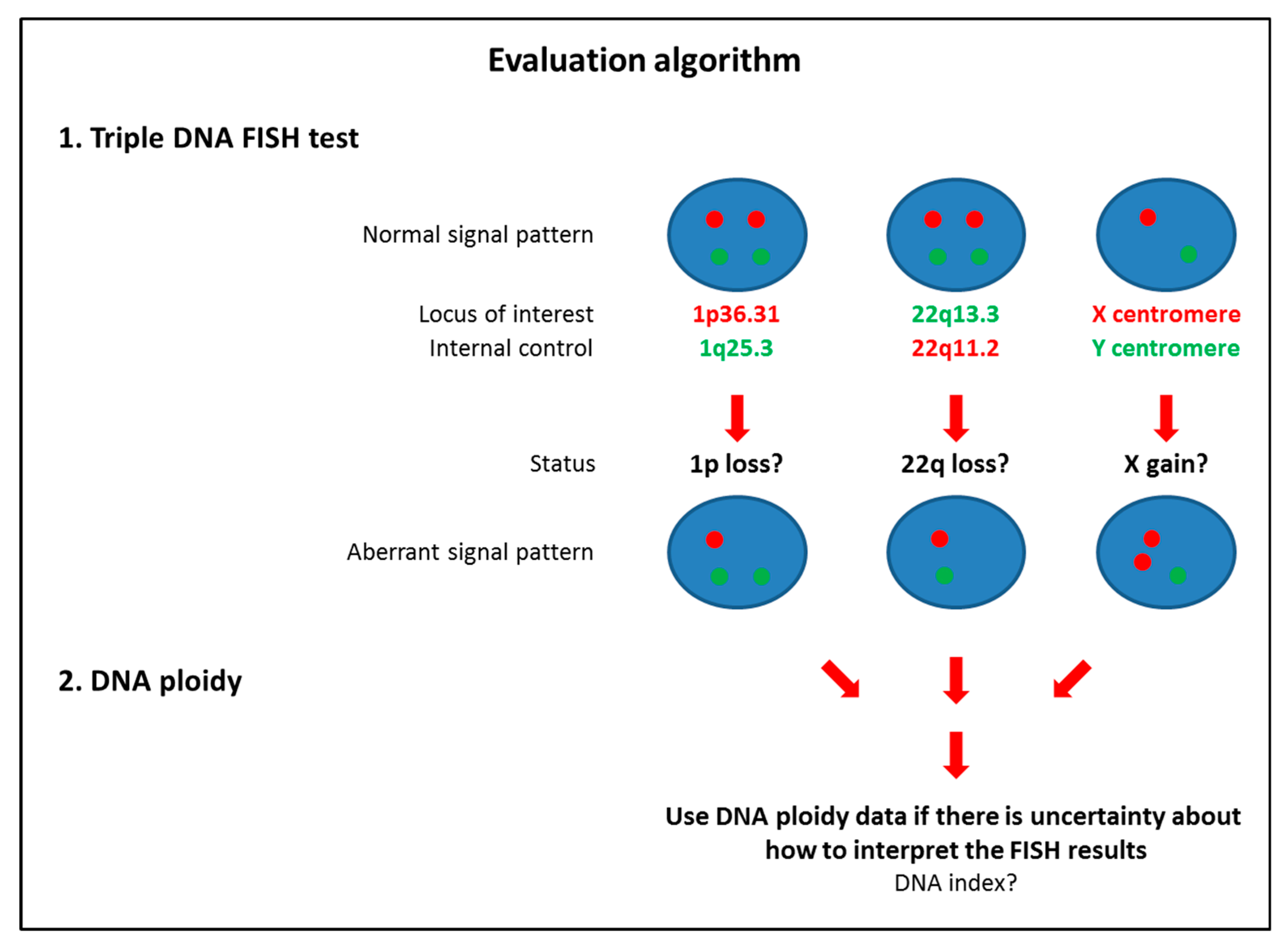 Cancers 12 02529 g007 Cancers 12 02529 g007