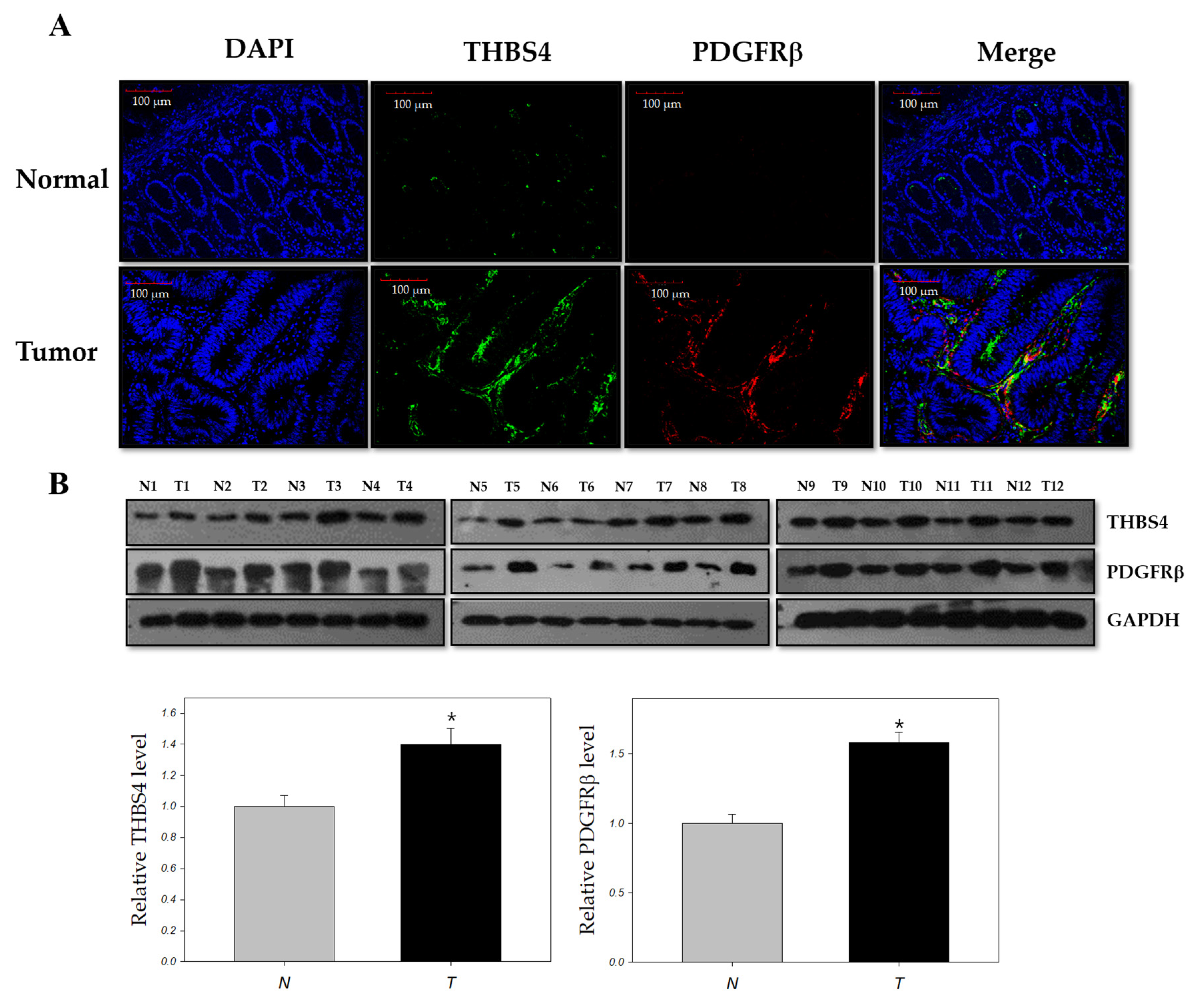 Cancers 12 02533 g001