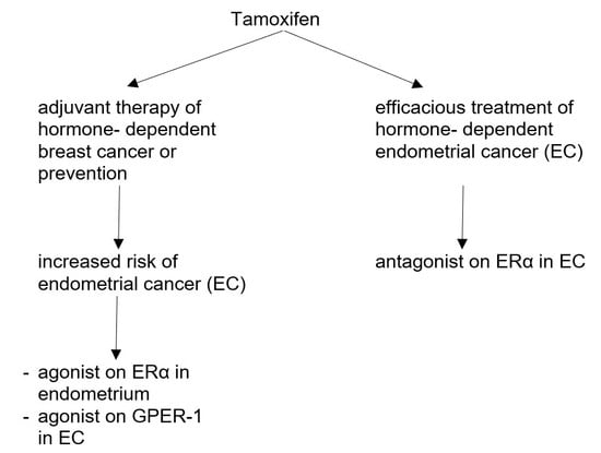 Endometrial cancer from tamoxifen.