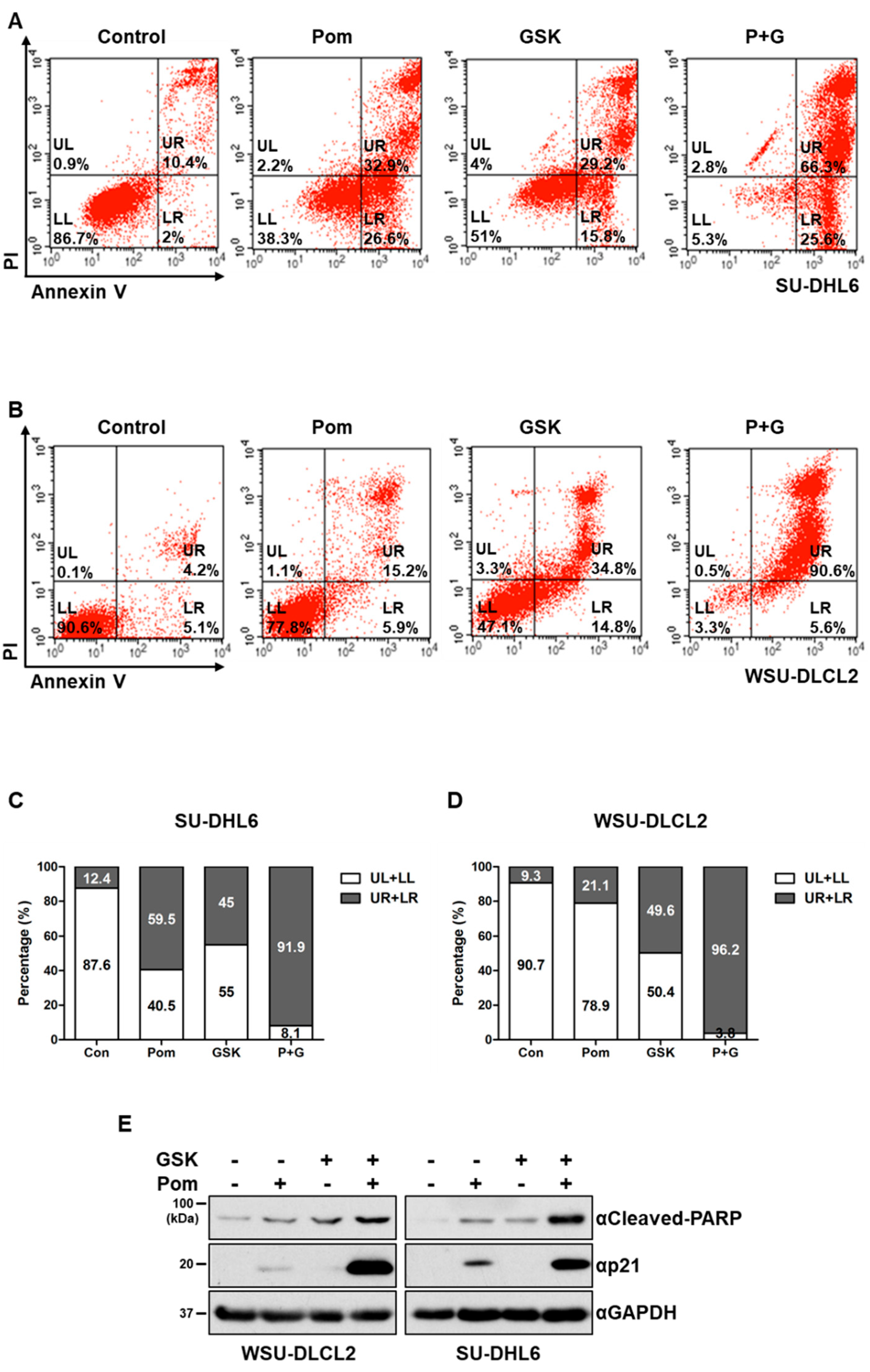 Cancers 12 02541 g001a Cancers 12 02541 g001a