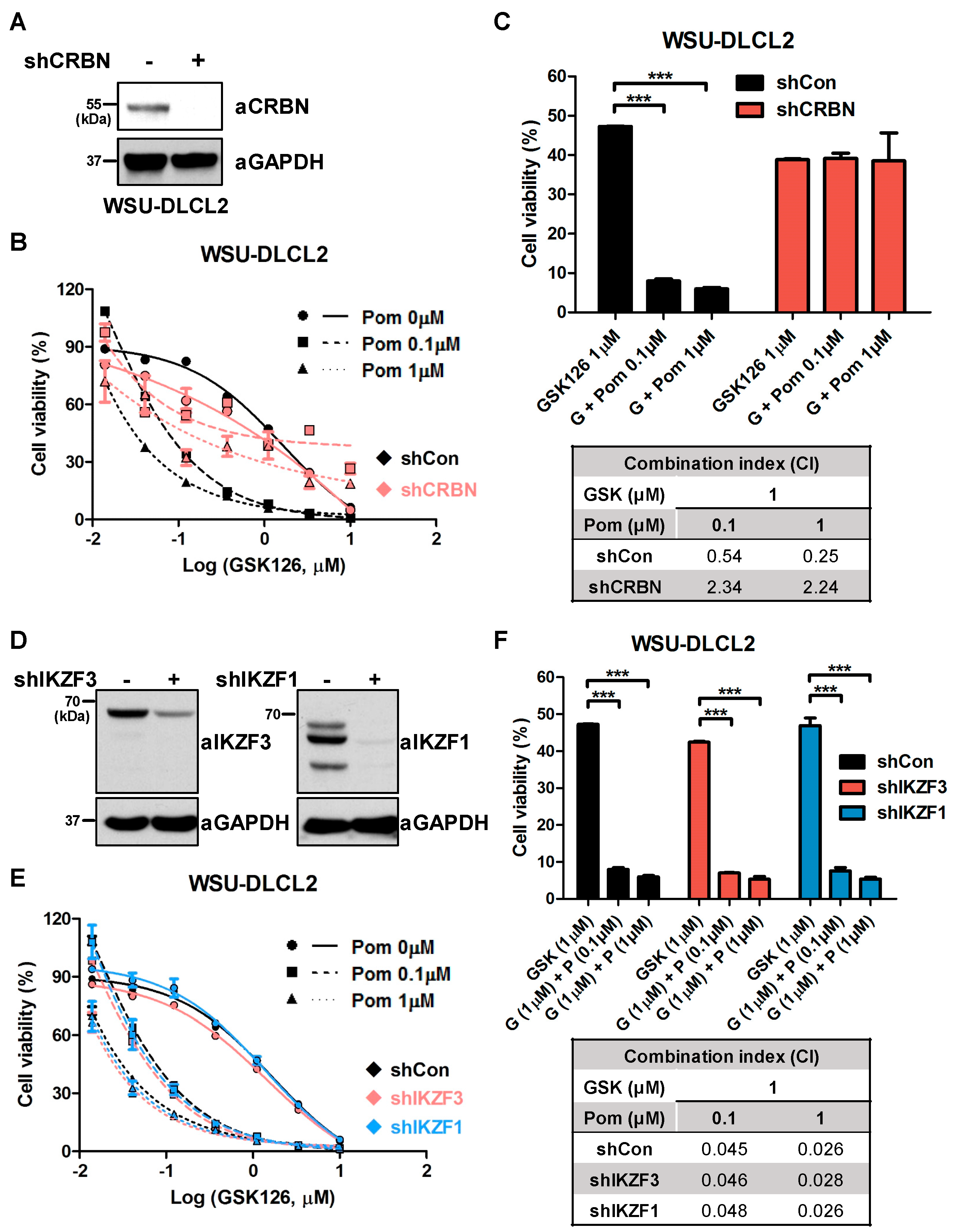Cancers 12 02541 g003 Cancers 12 02541 g003