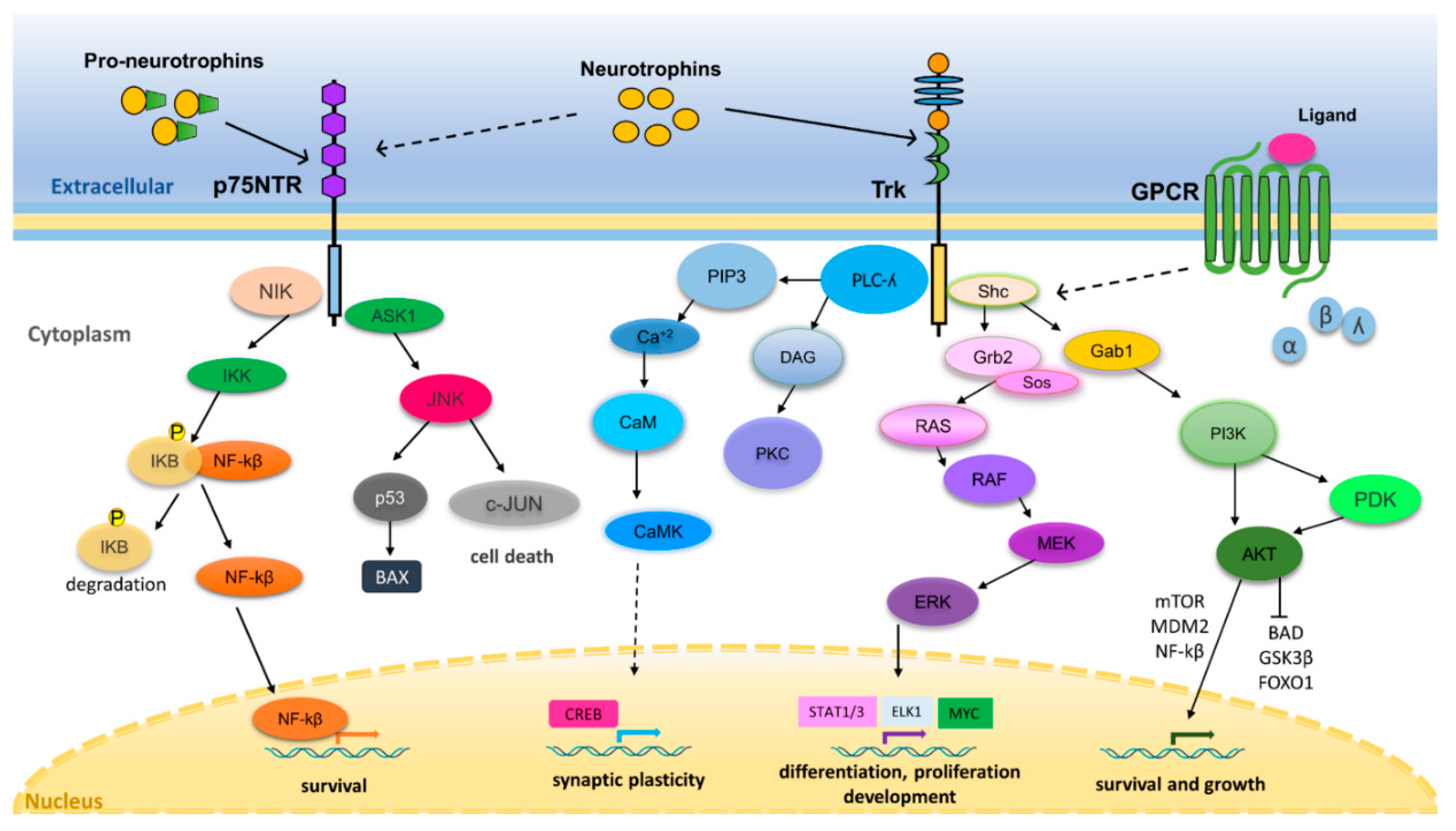 Cancers 12 02542 g001