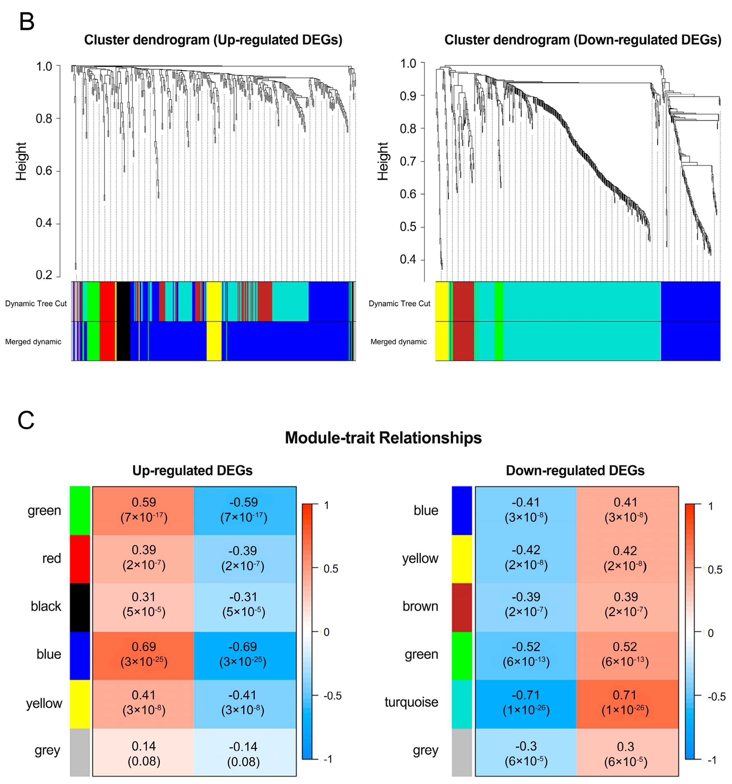 Cancers 12 02543 g003b
