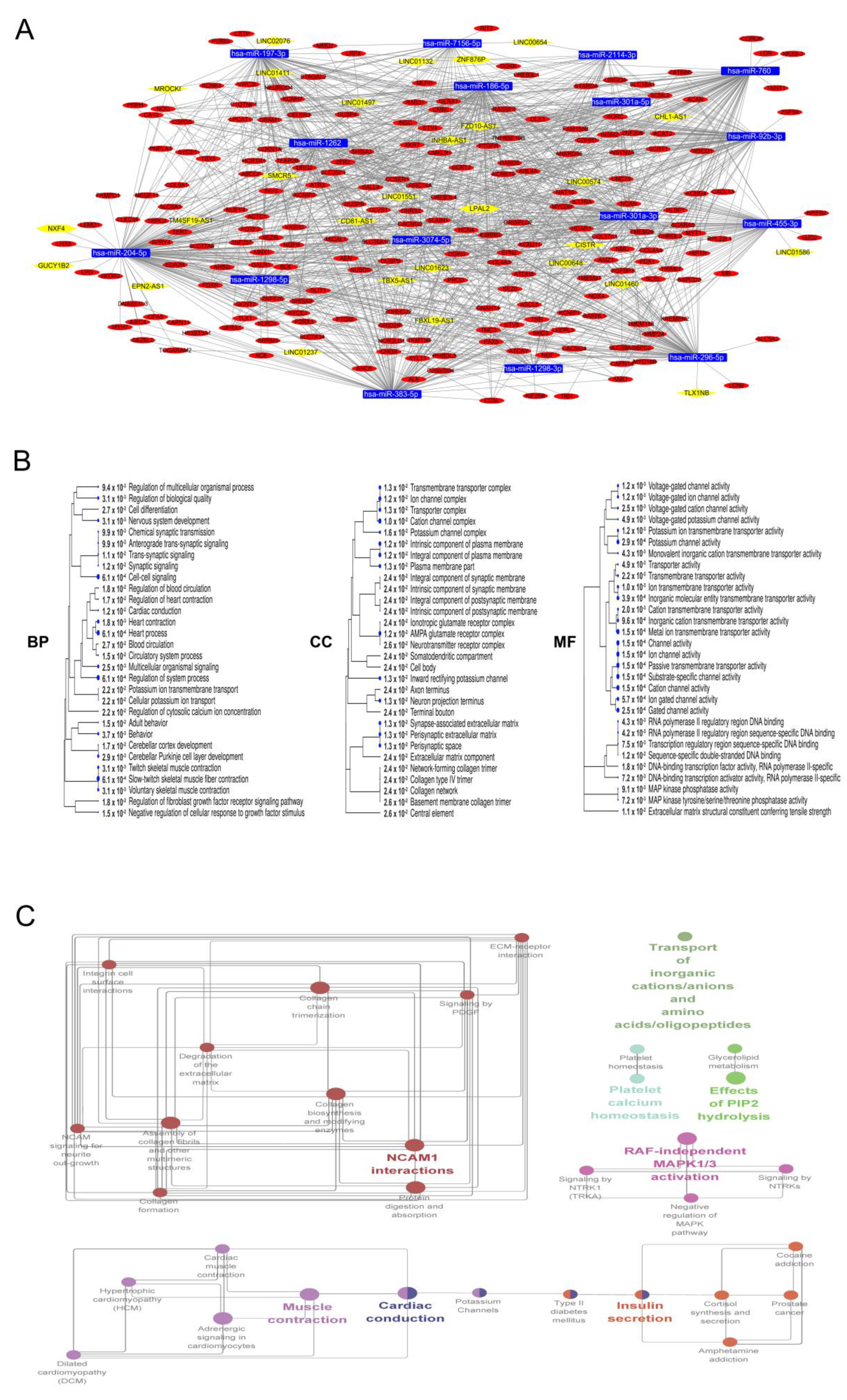 Cancers 12 02543 g004