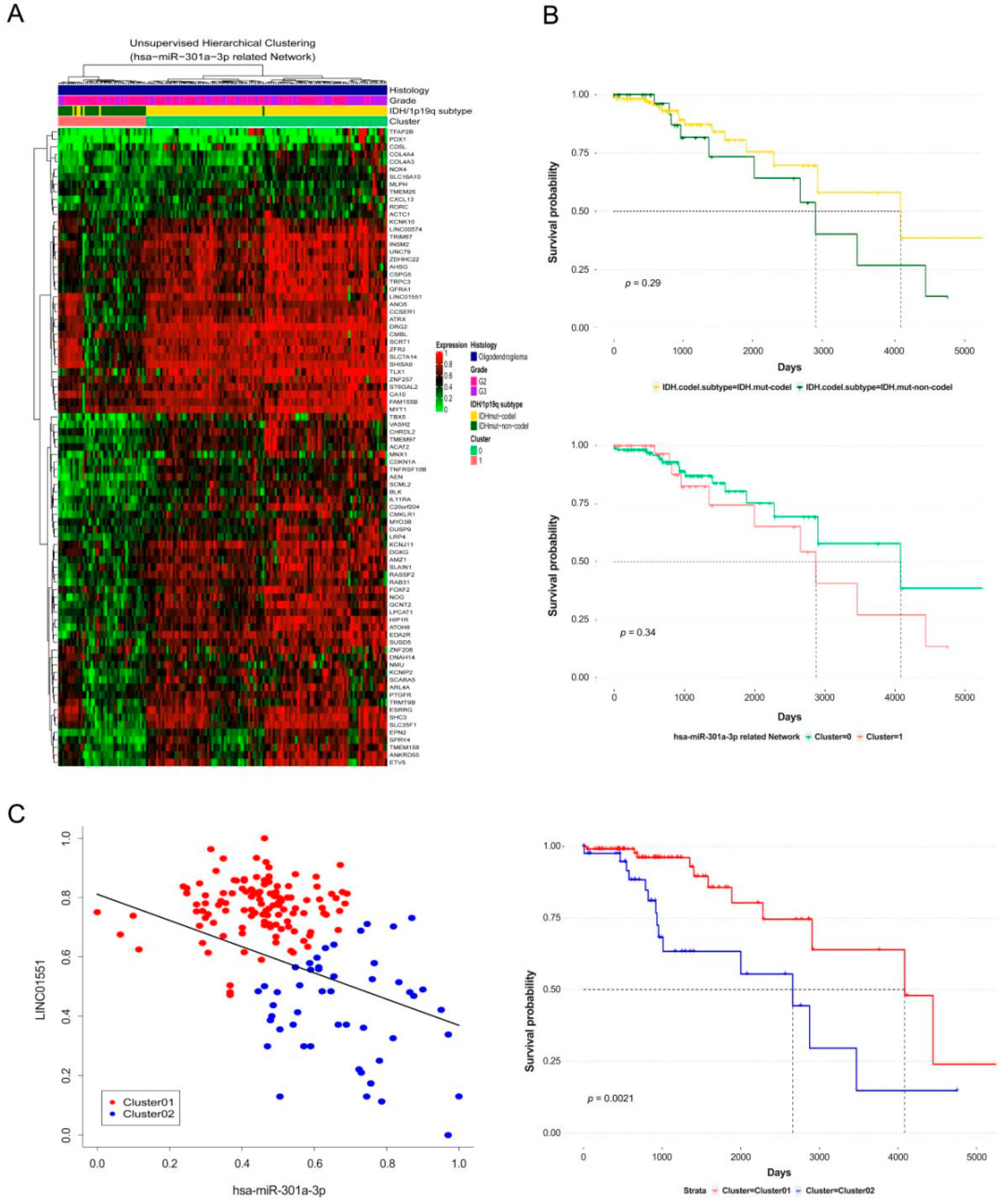 Cancers 12 02543 g005