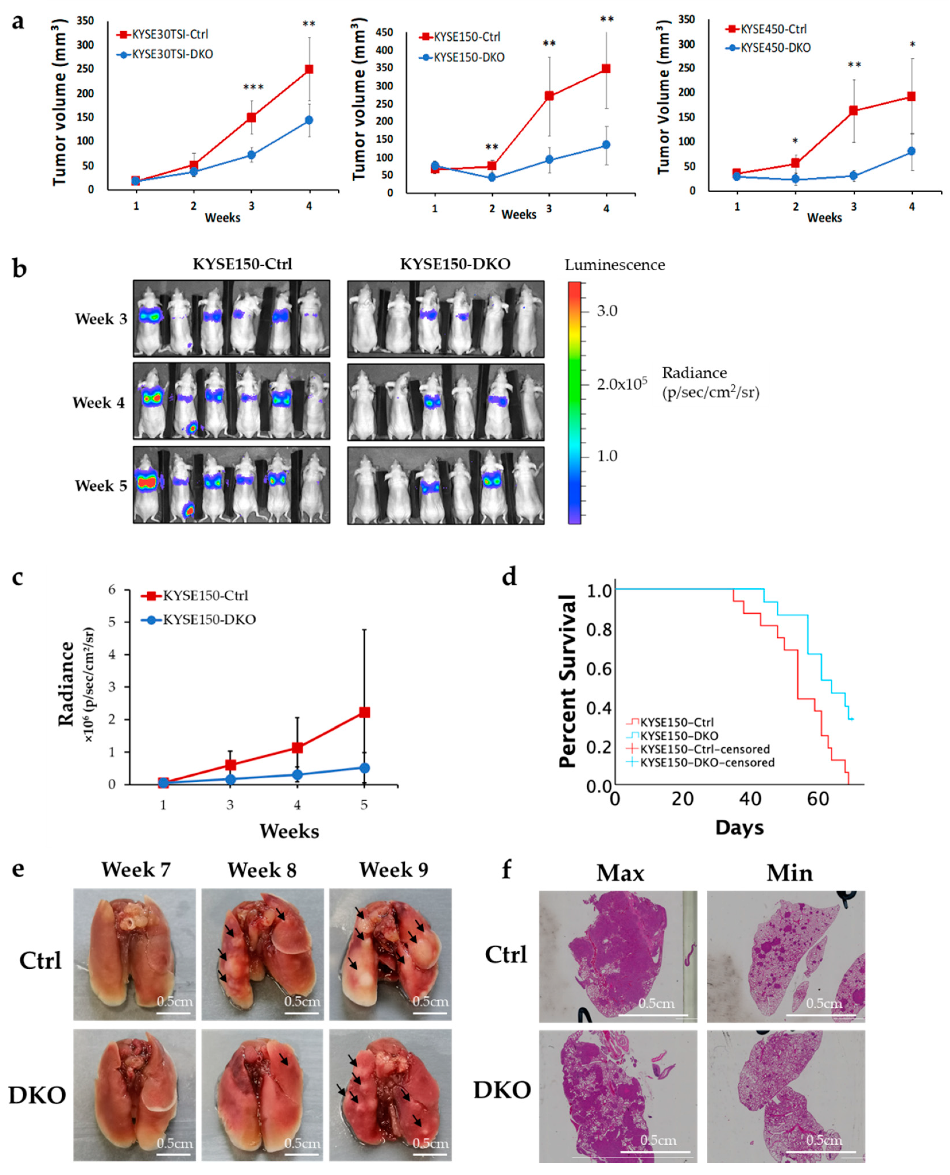 Cancers 12 02545 g002 Cancers 12 02545 g002