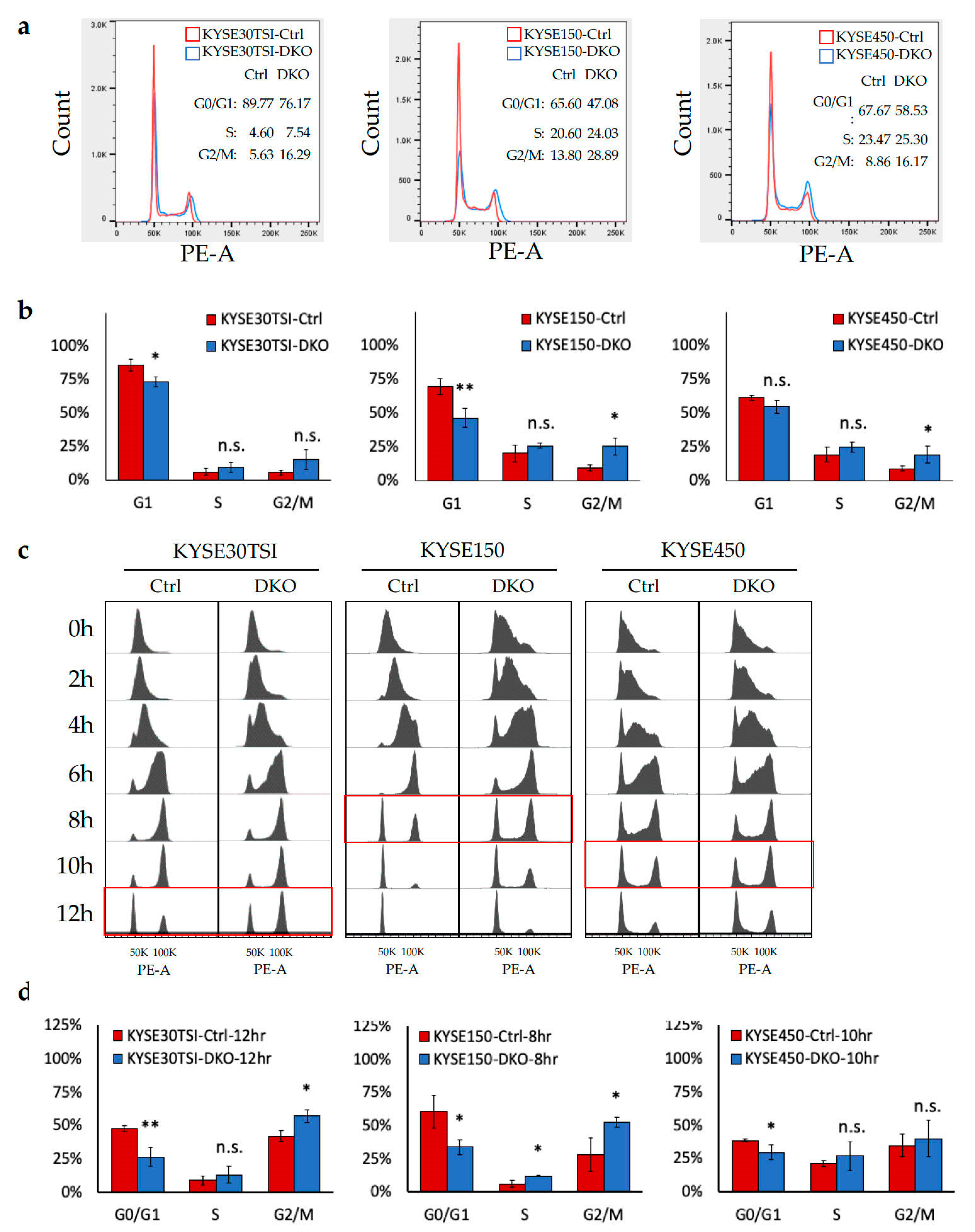 Cancers 12 02545 g004 Cancers 12 02545 g004