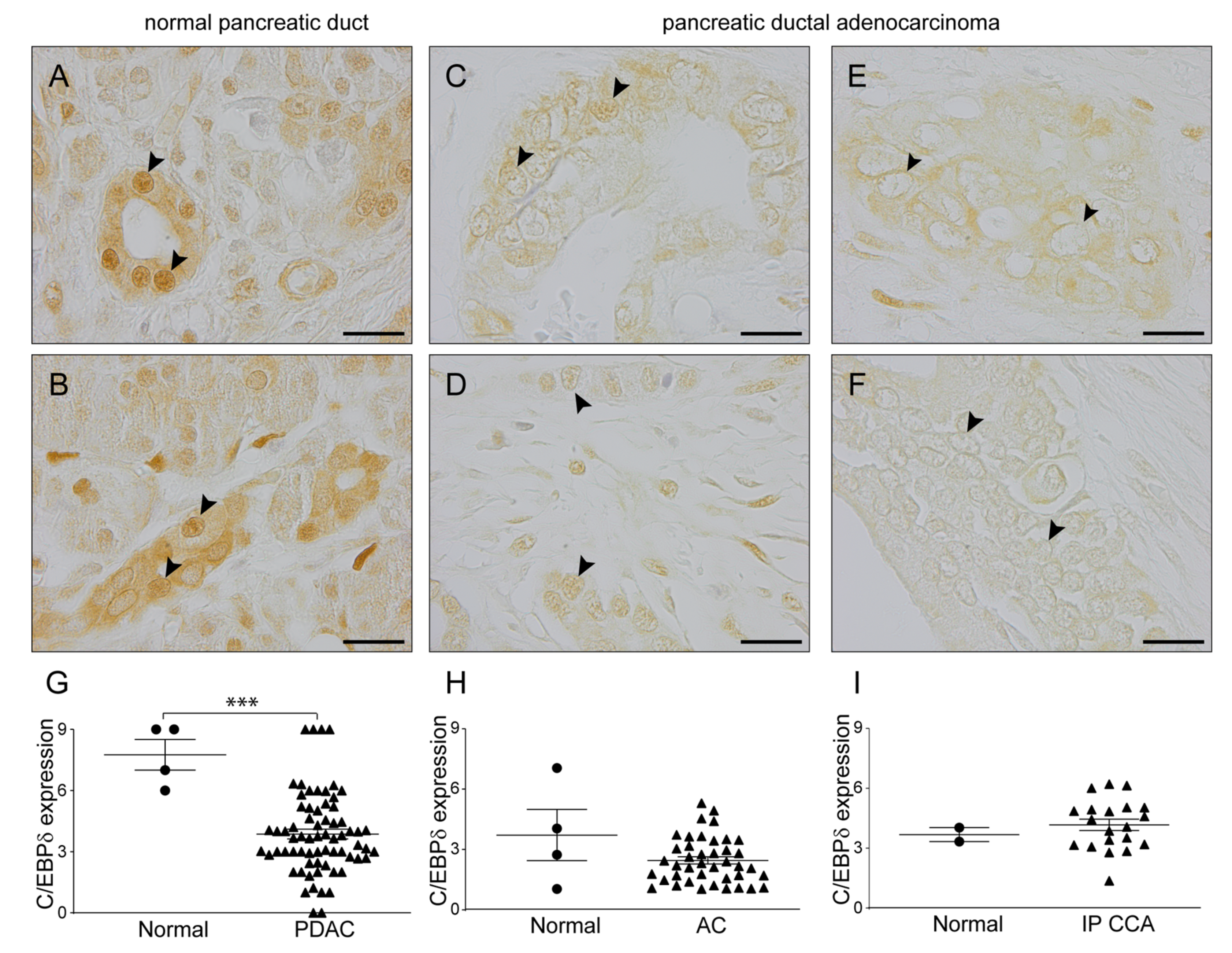 Cancers 12 02546 g002
