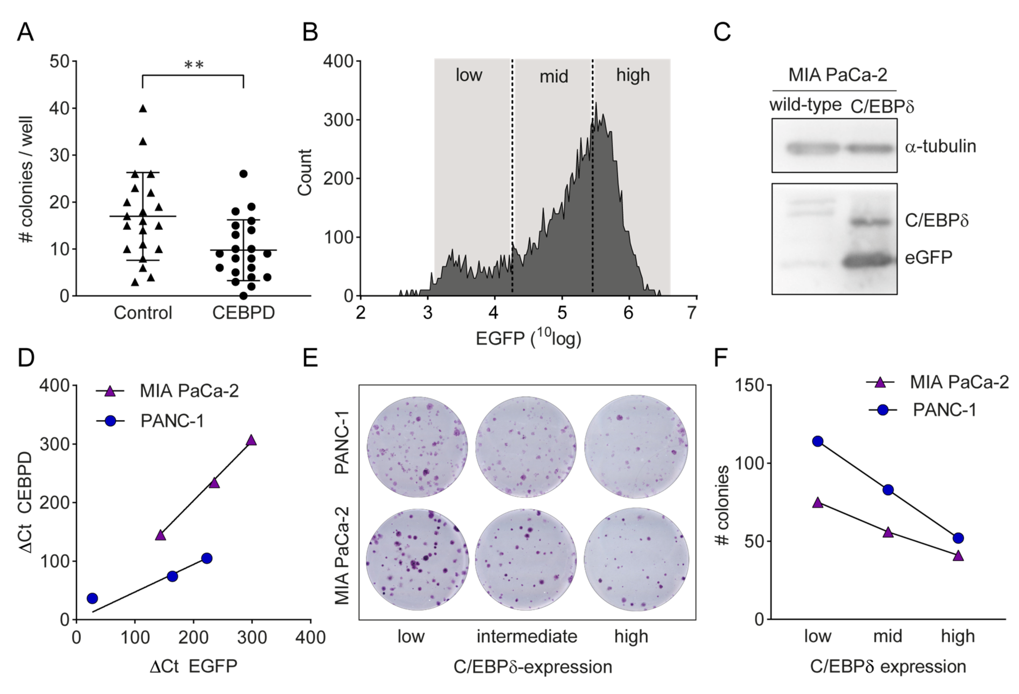 Cancers 12 02546 g004