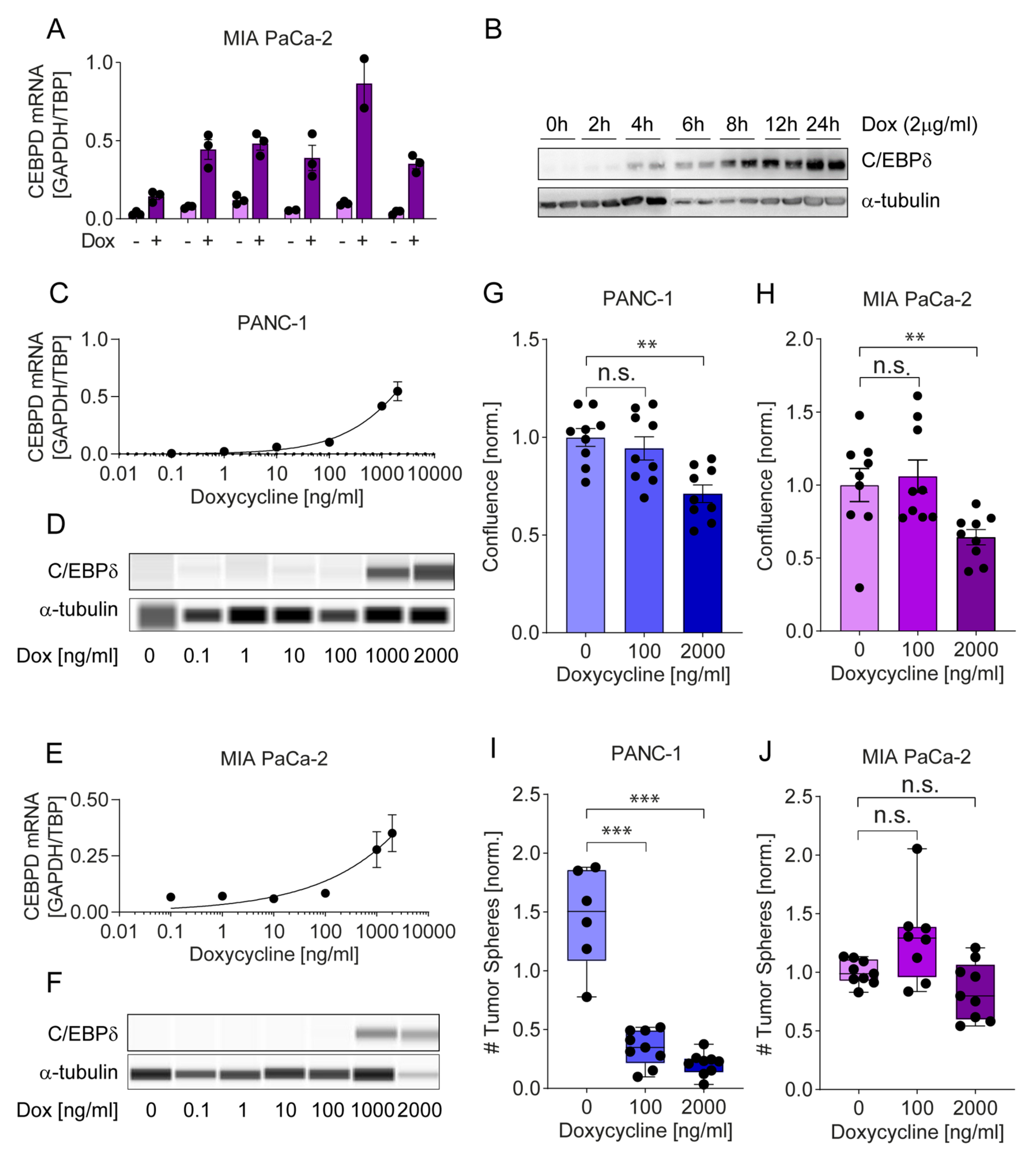 Cancers 12 02546 g005