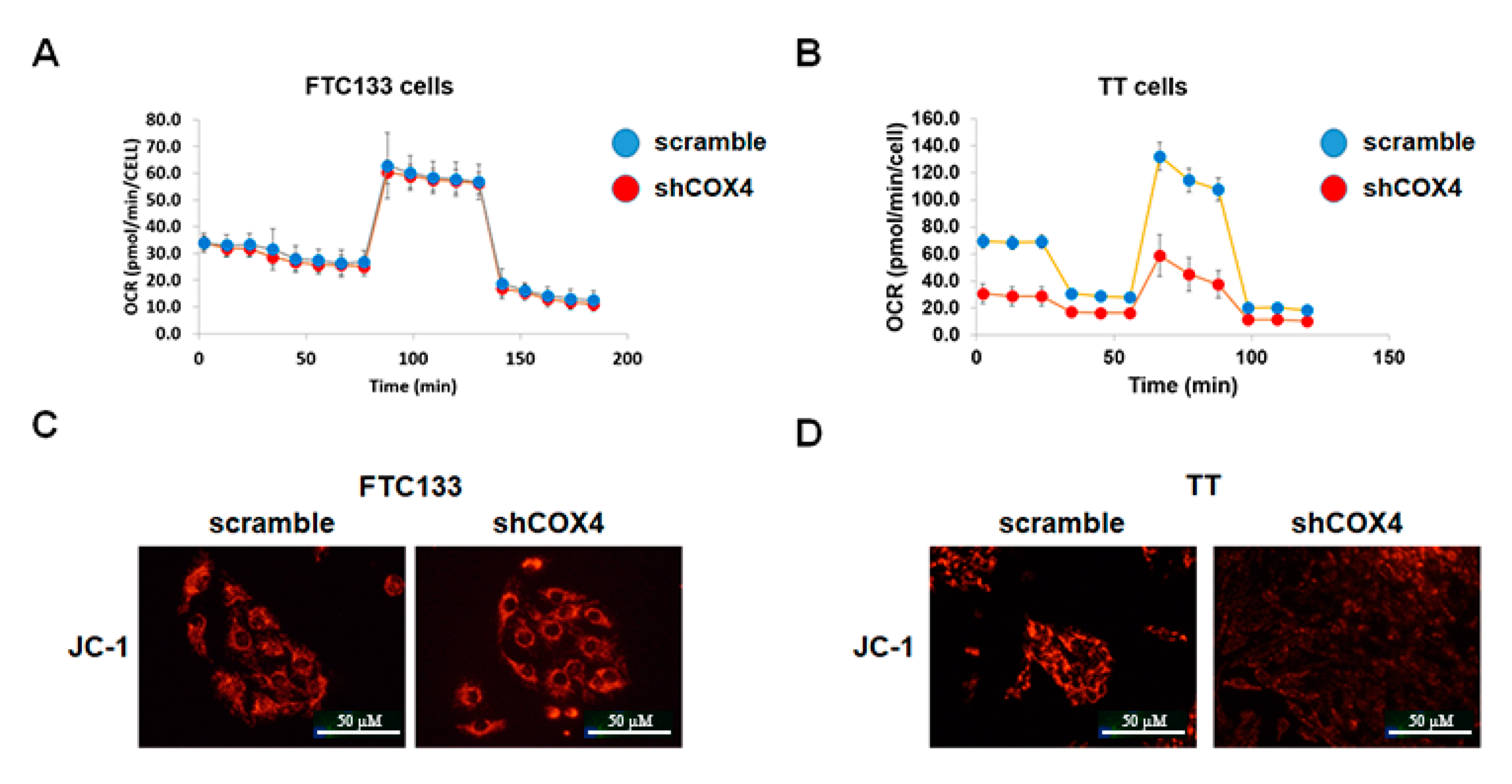 Cancers 12 02548 g004