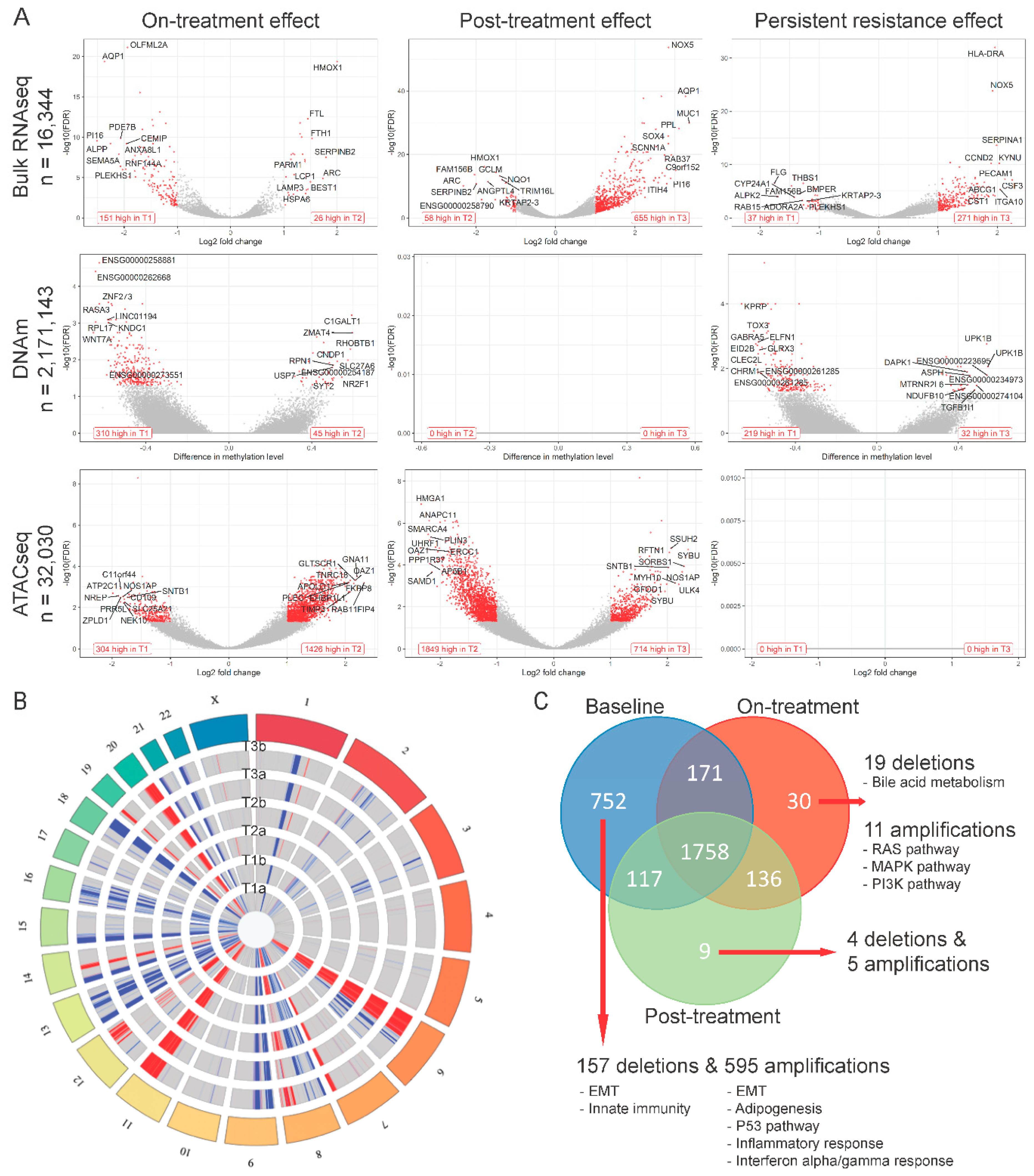 Cancers 12 02551 g002