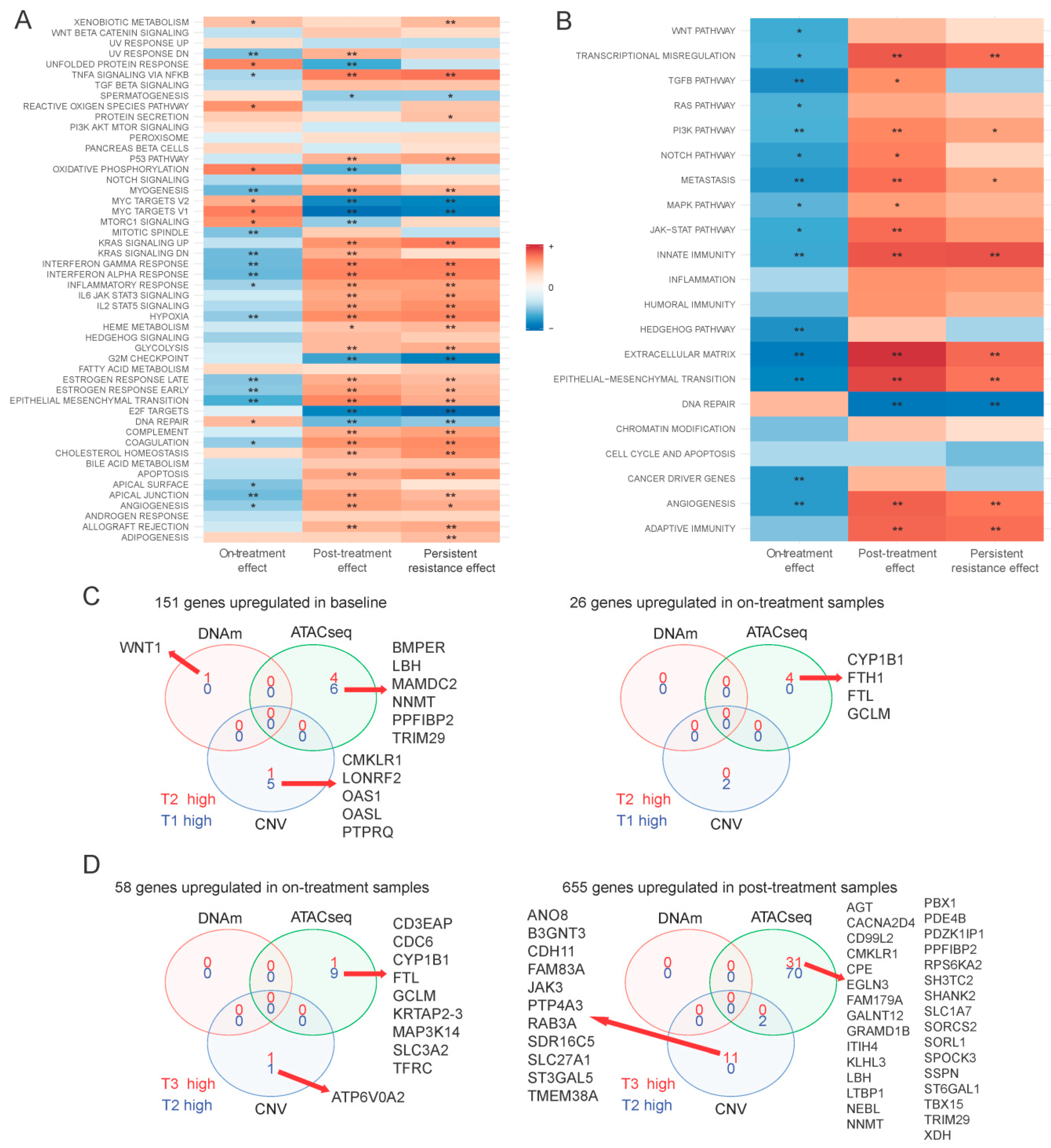 Cancers 12 02551 g003