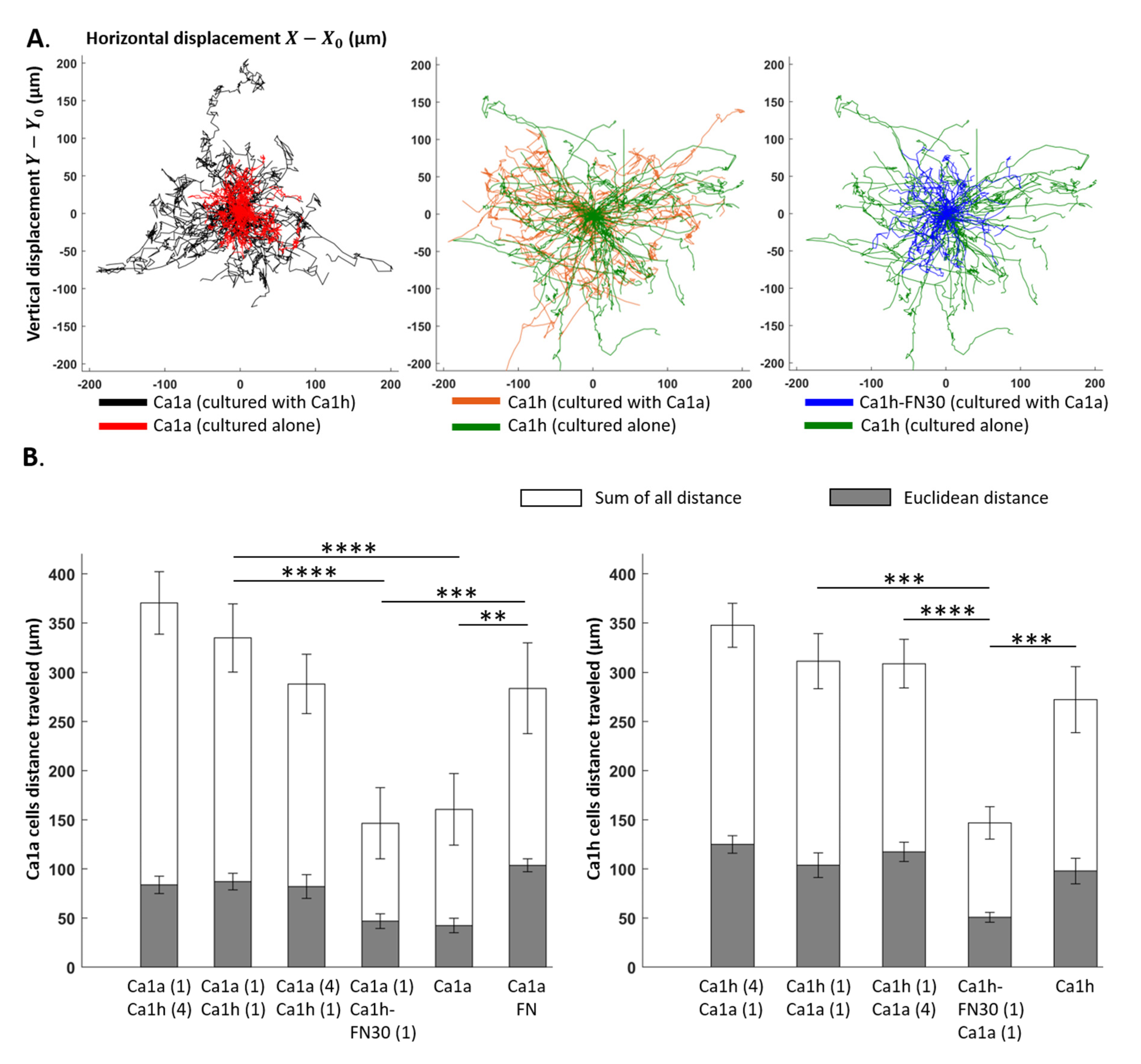 Cancers 12 02553 g003