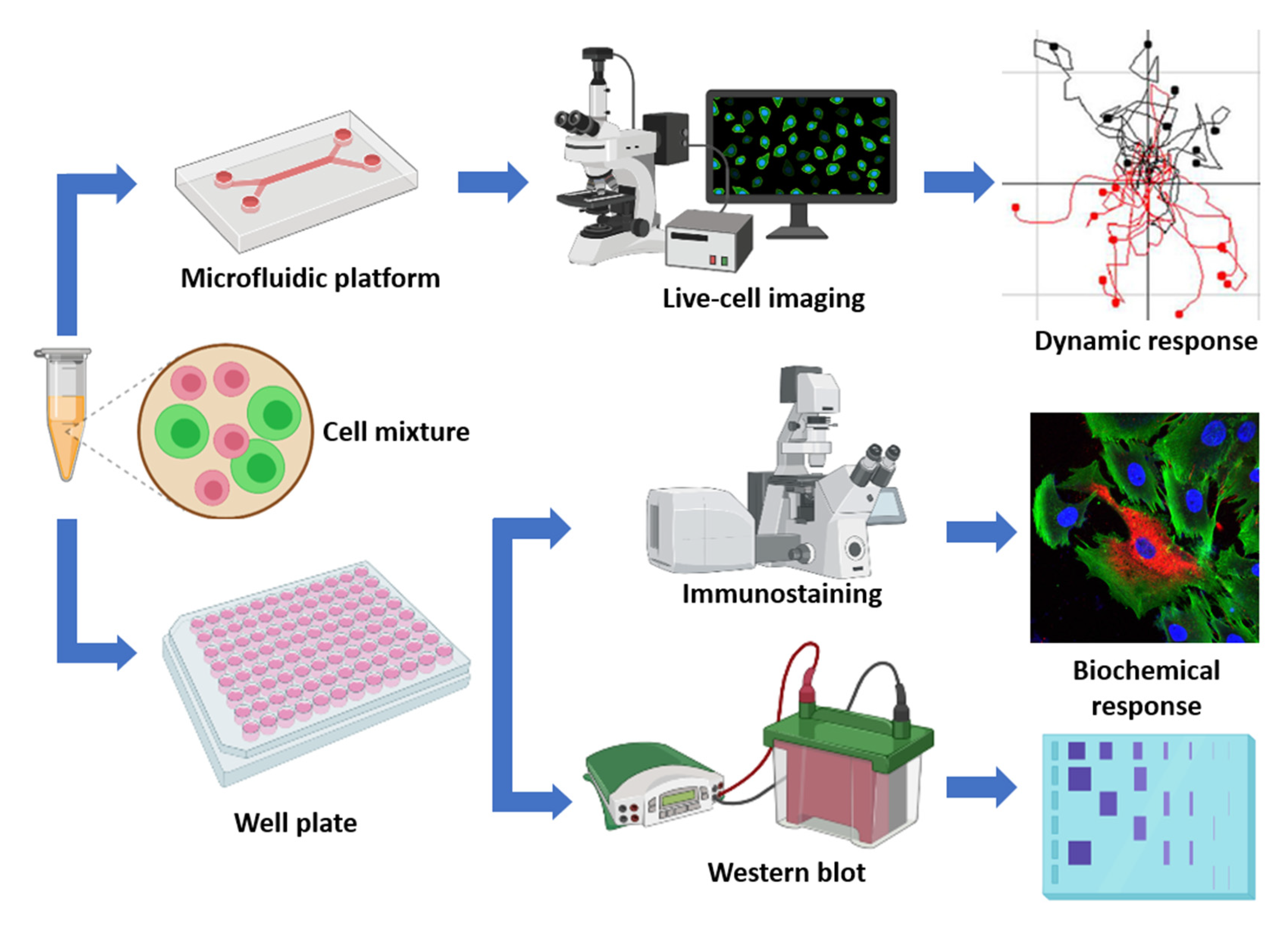 Cancers 12 02553 g005