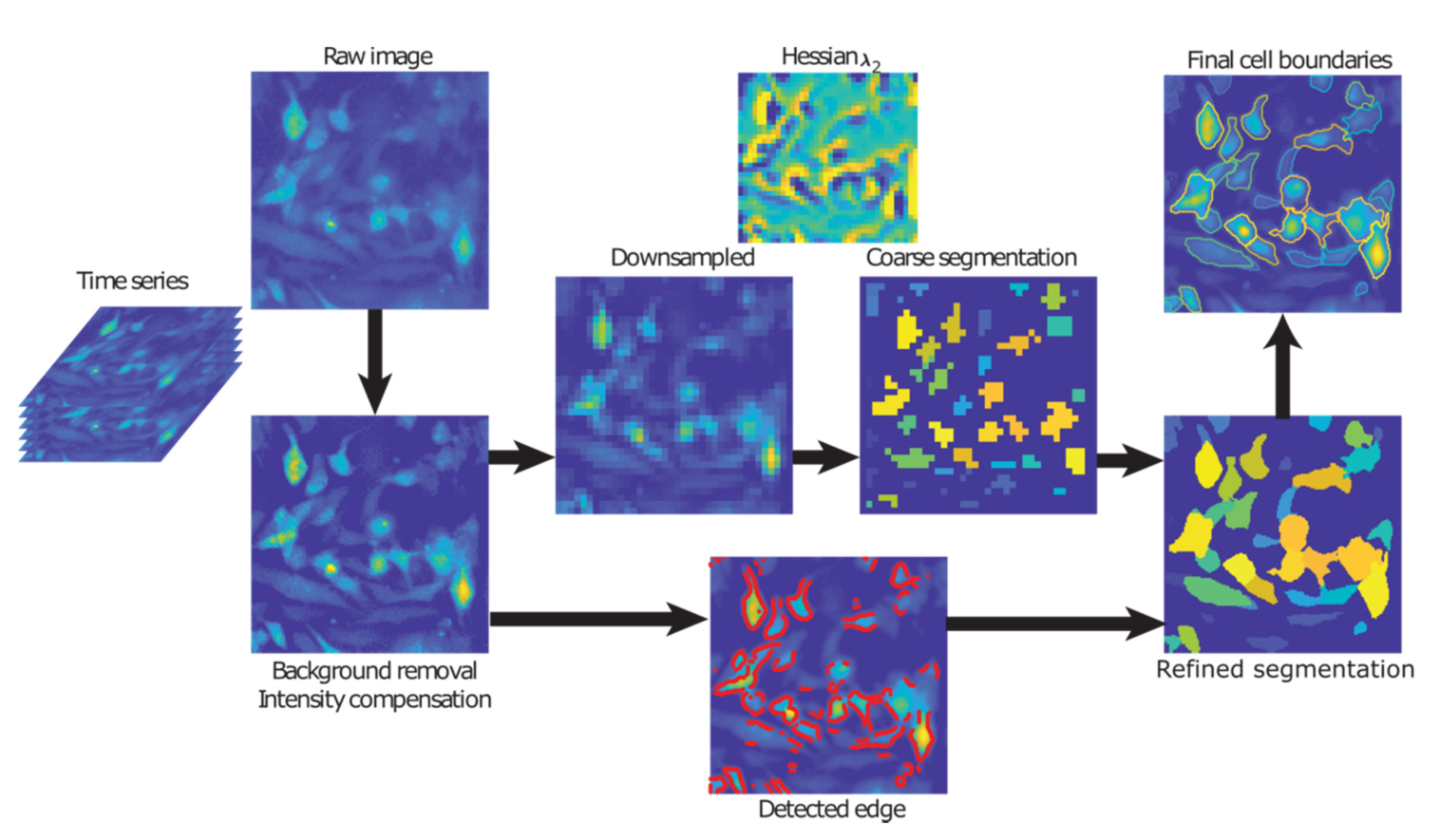 Cancers 12 02553 g006