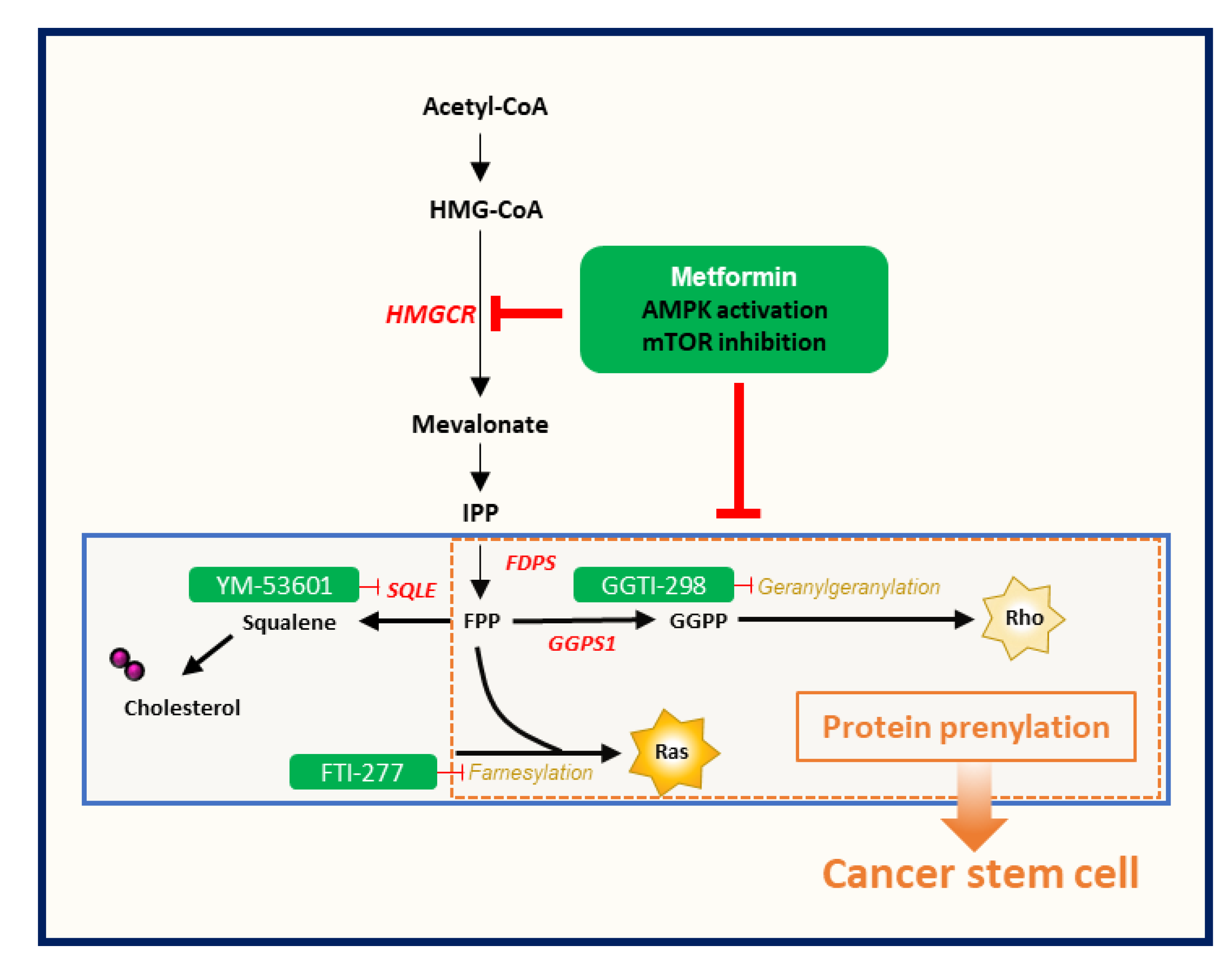 Cancers 12 02554 g005