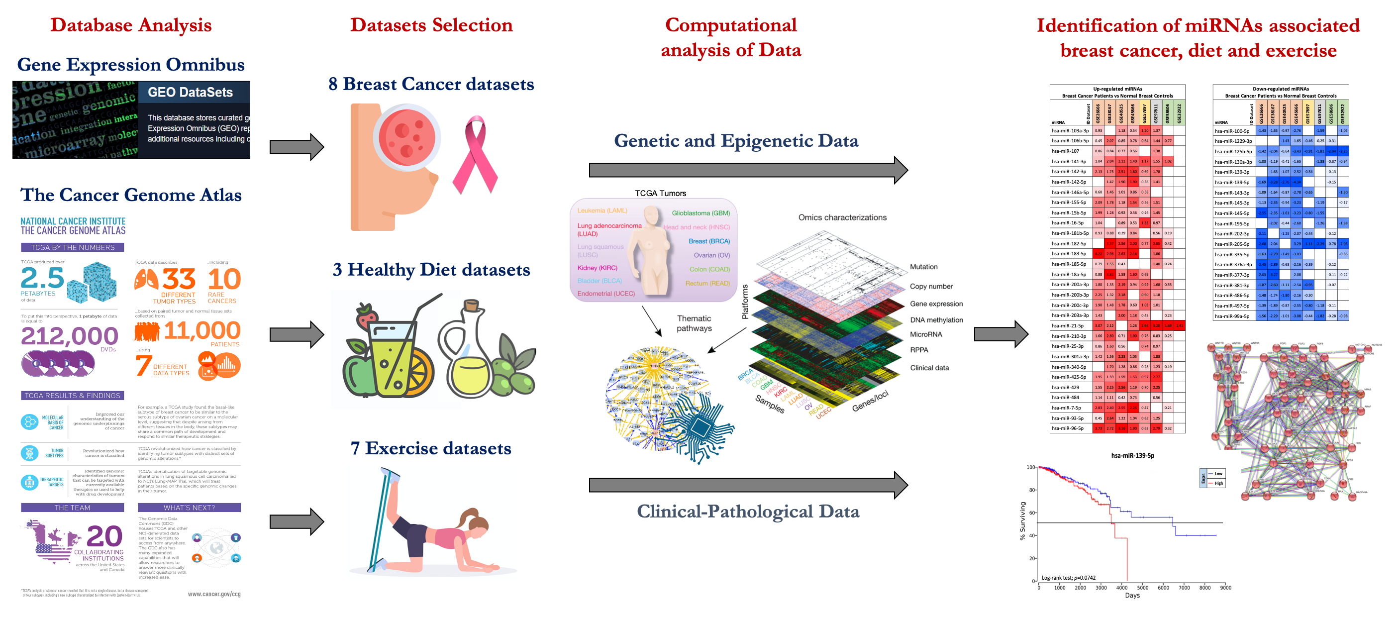 Cancers Free Full Text Identification Of Modulated Micrornas Associated With Breast Cancer Diet And Physical Activity Html