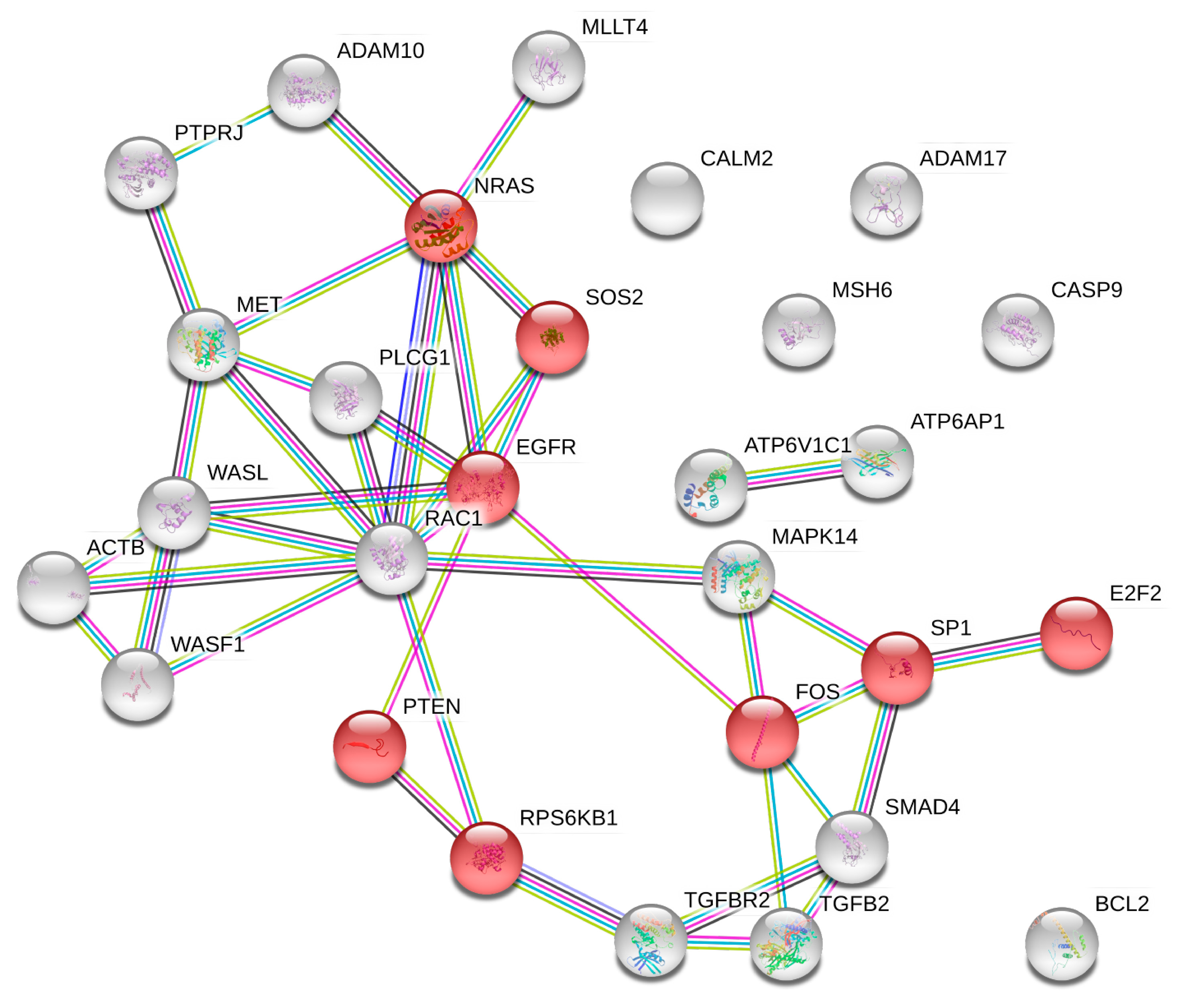 Cancers 12 02555 g007