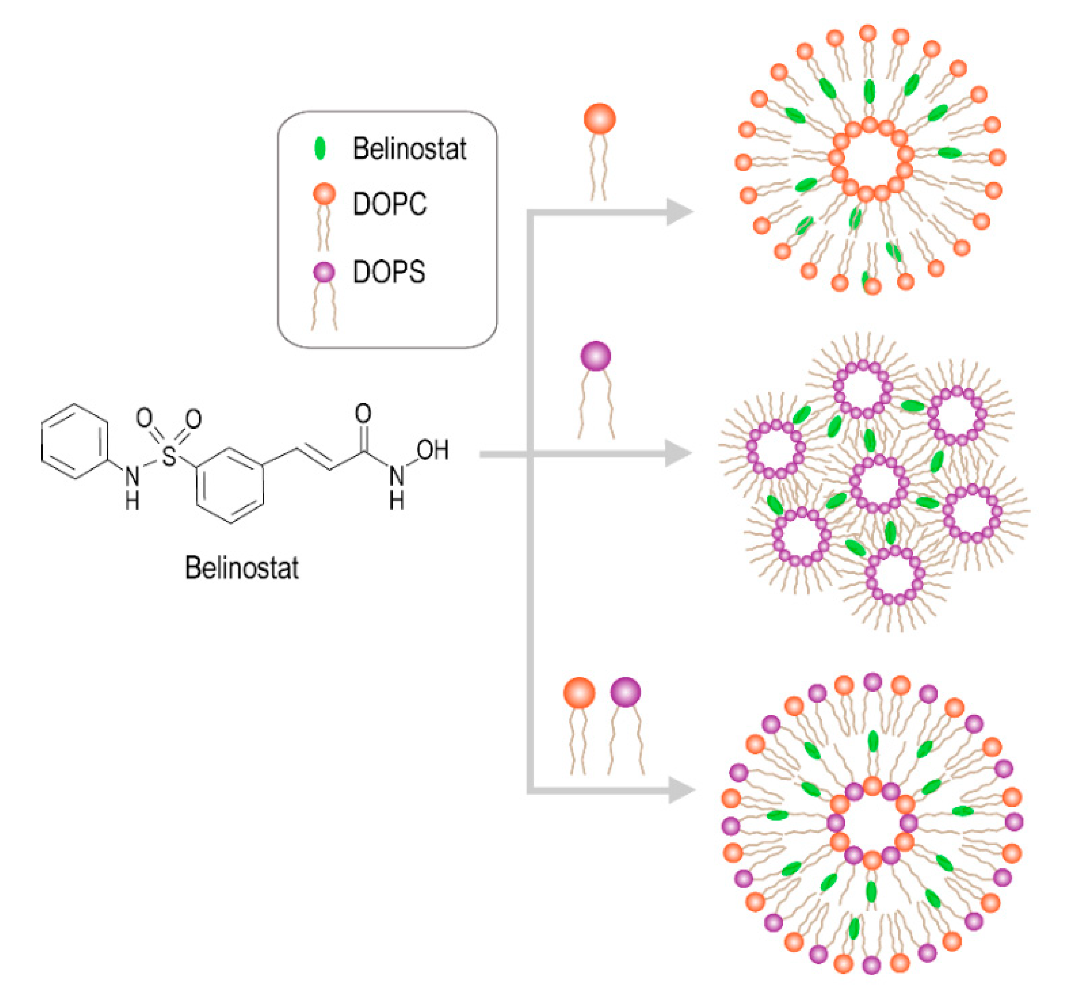 Cancers 12 02558 g001