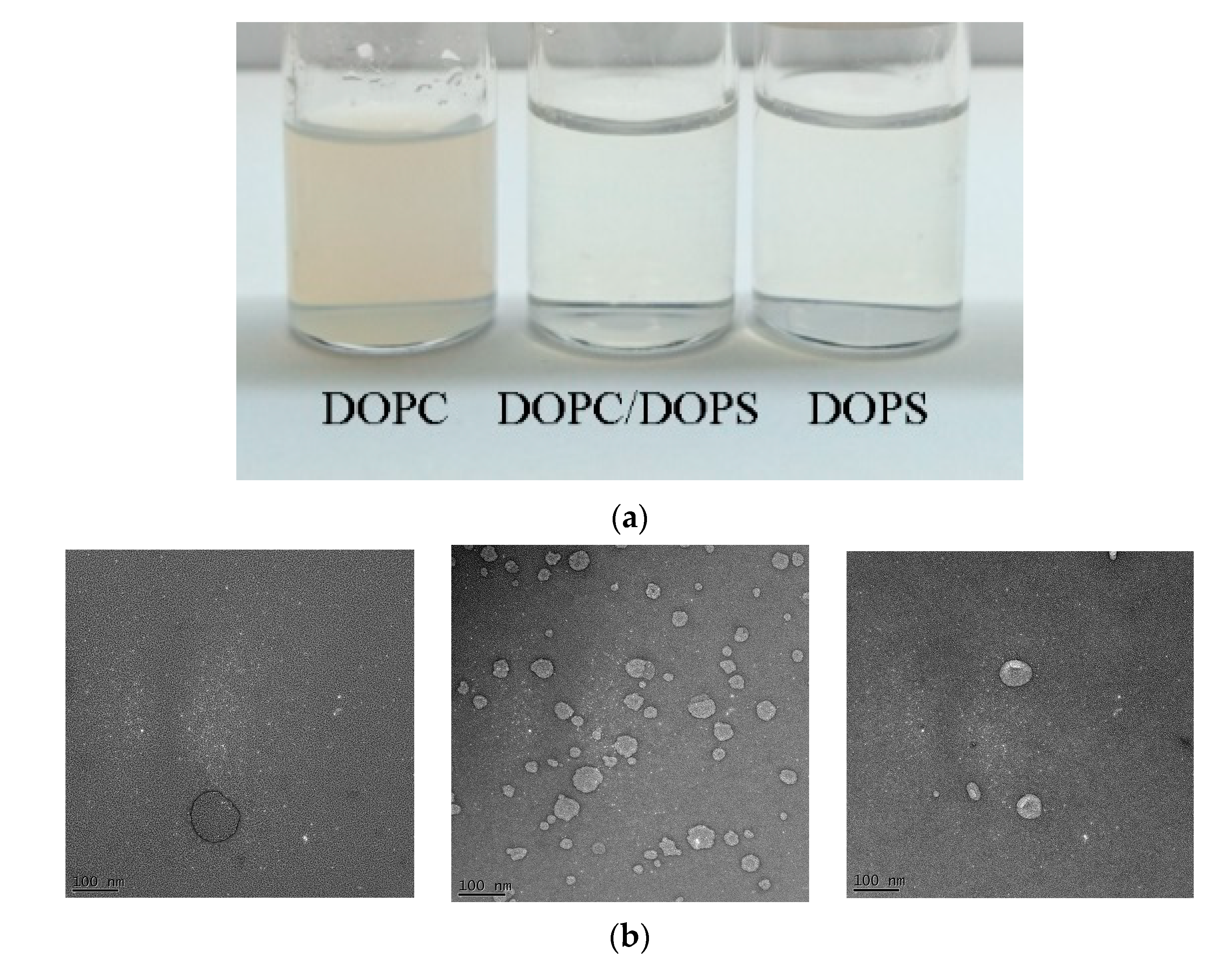 Cancers 12 02558 g002