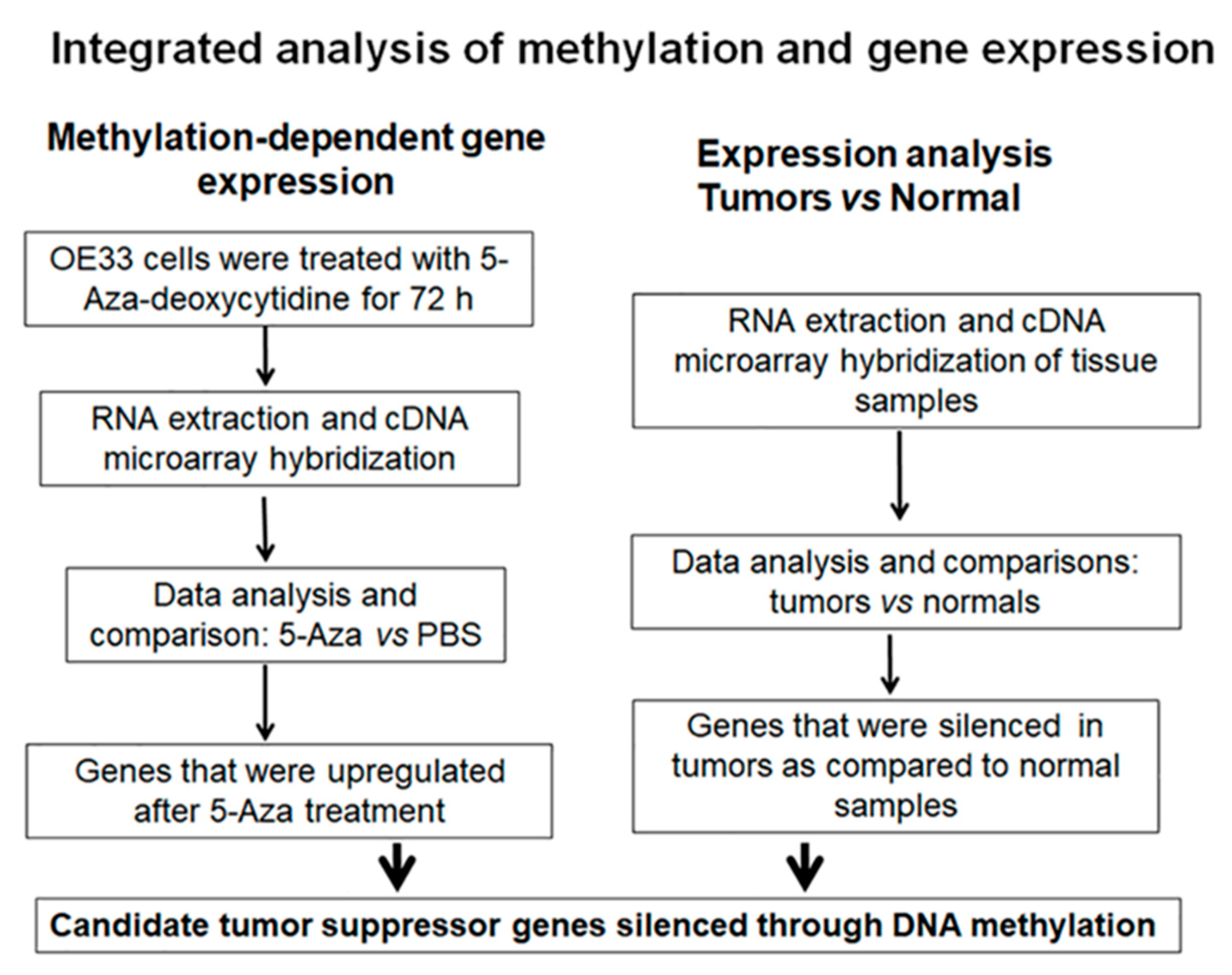 Cancers 12 02573 g001