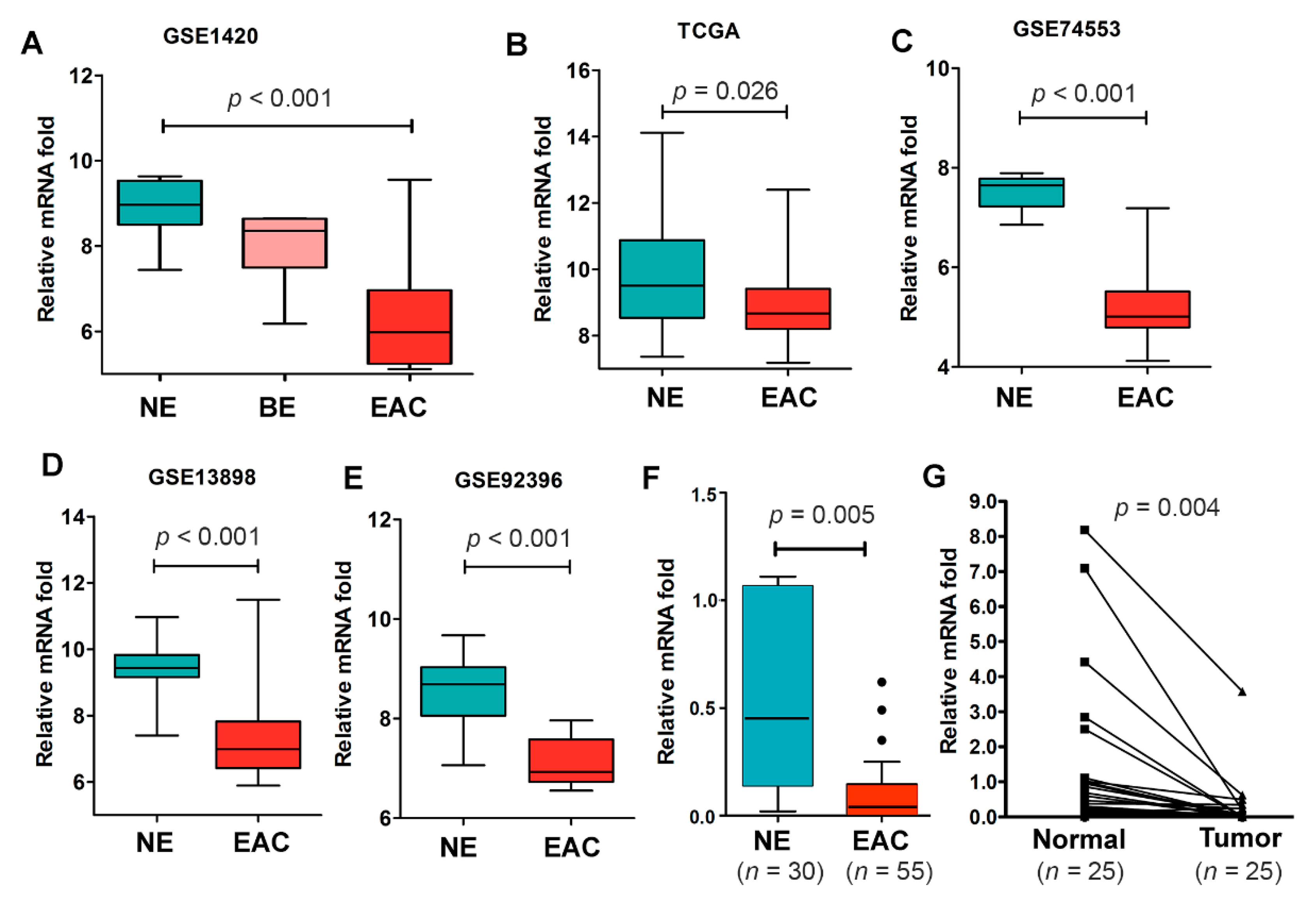 Cancers 12 02573 g002