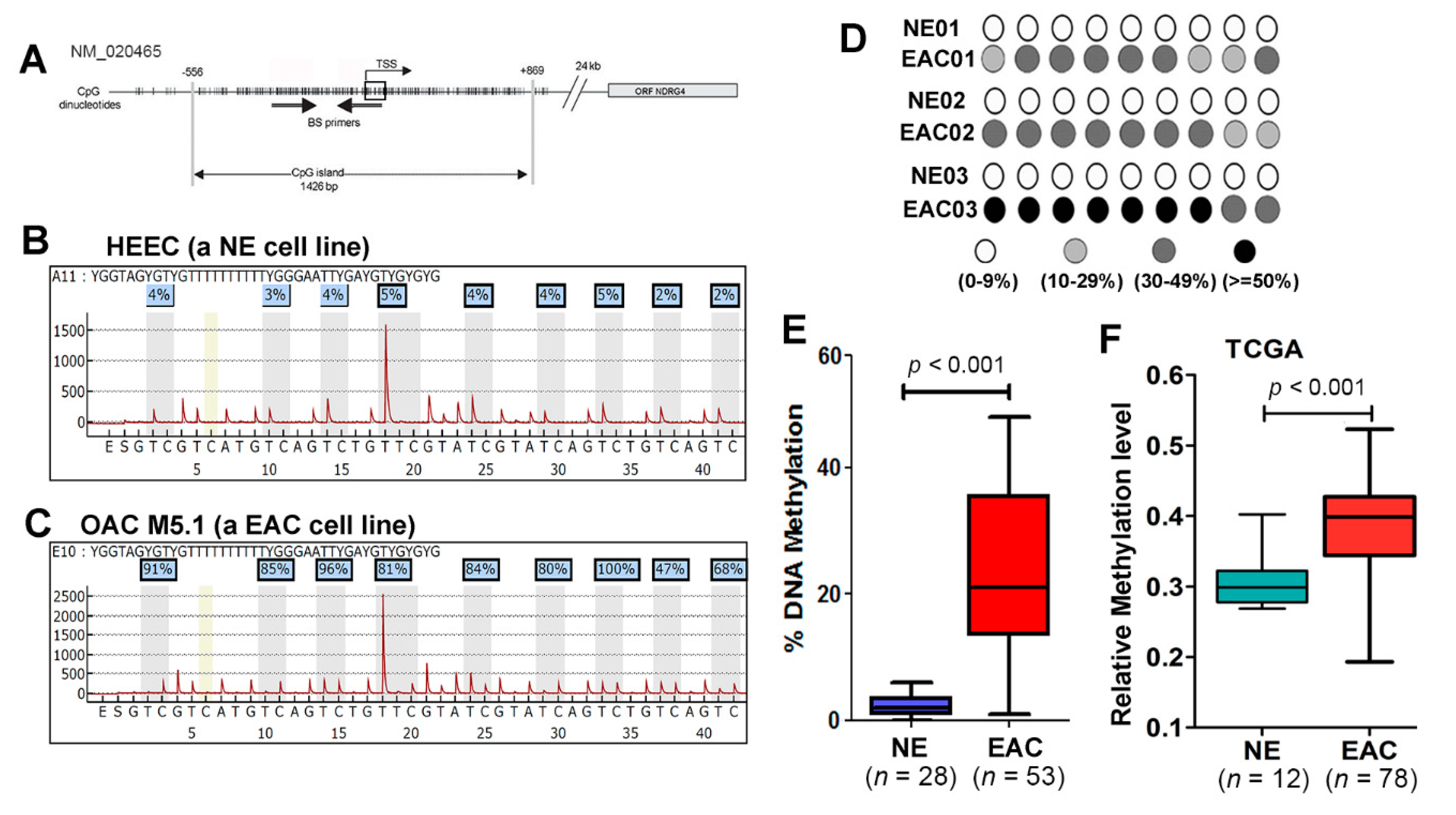 Cancers 12 02573 g003