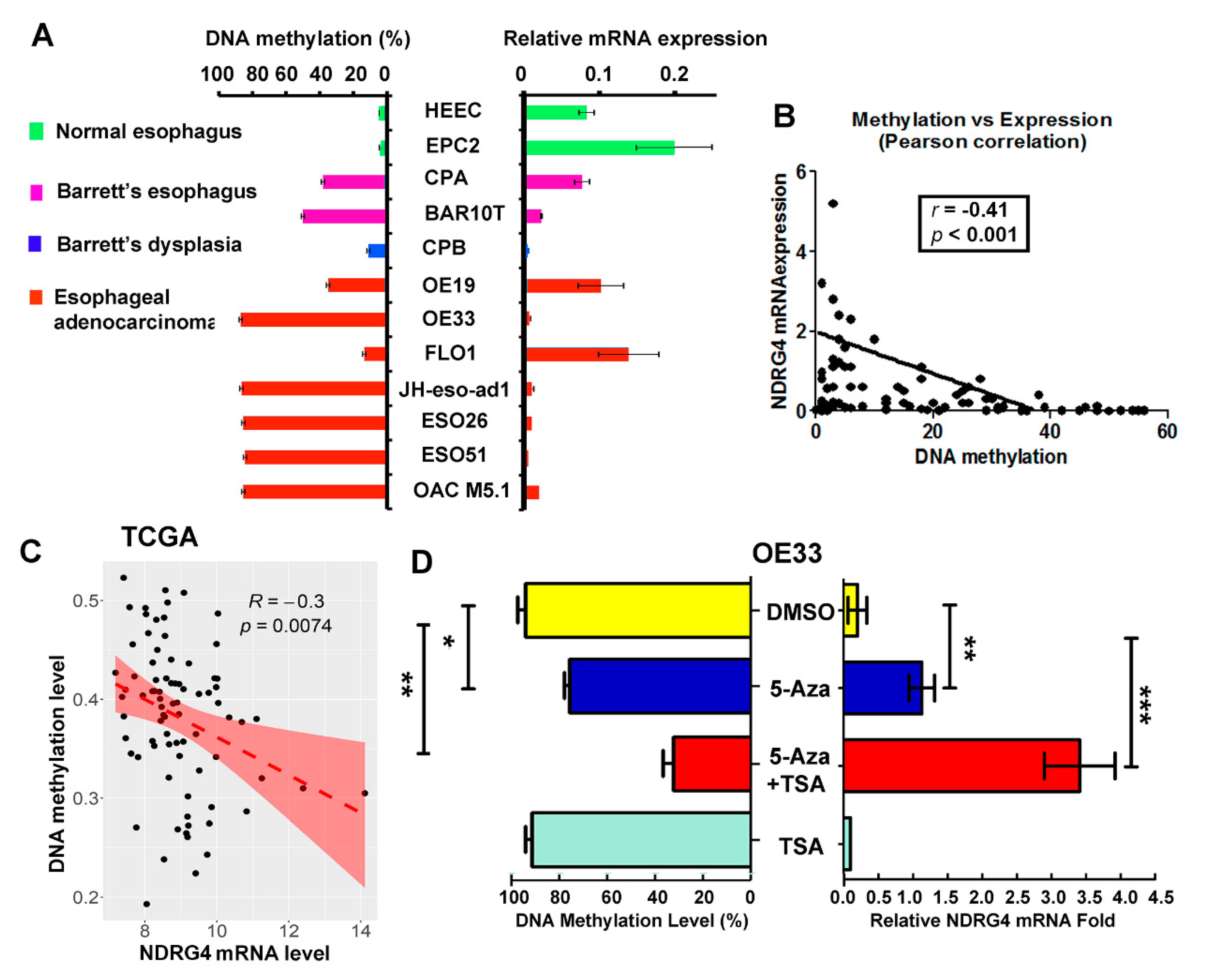 Cancers 12 02573 g004