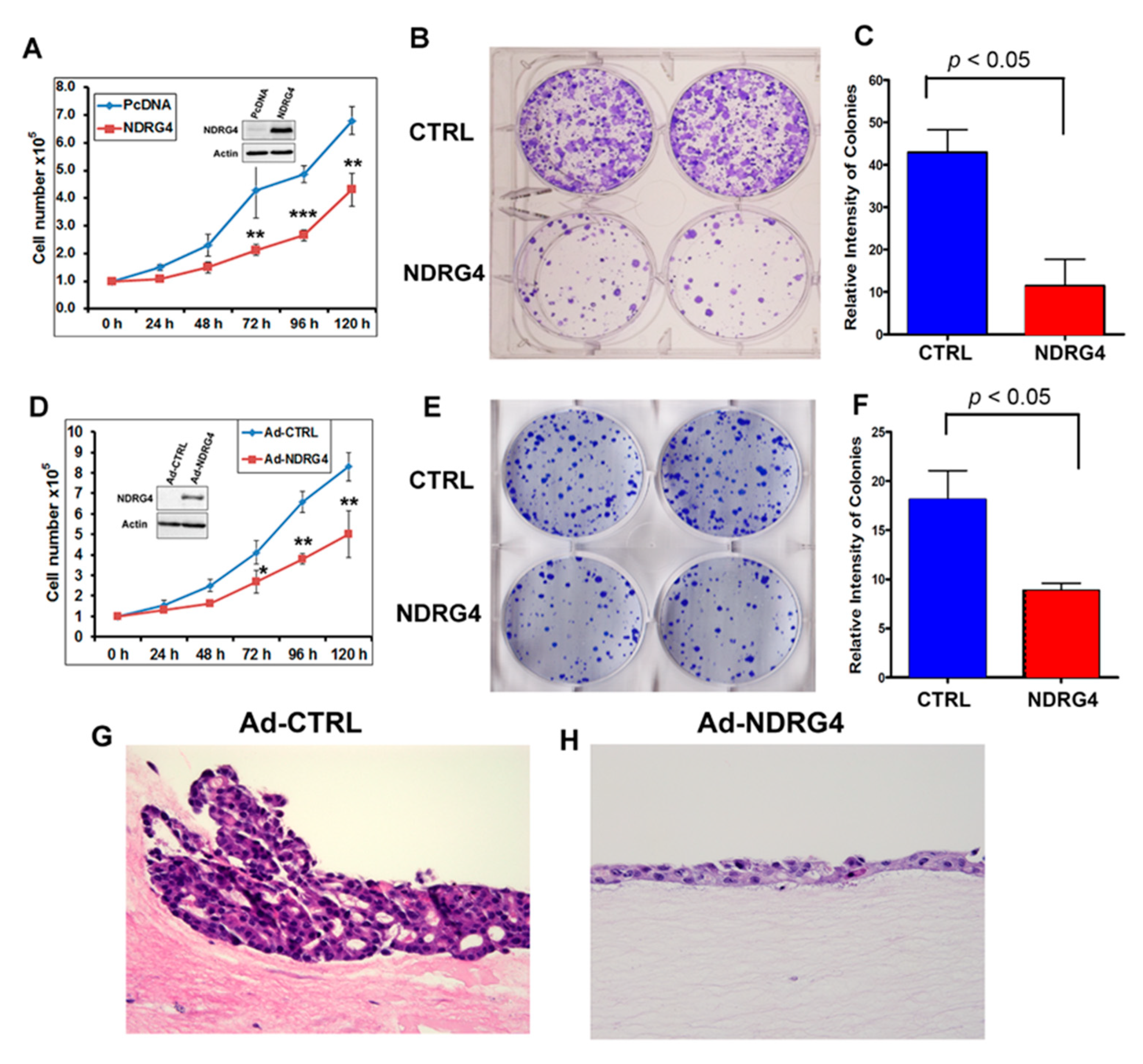 Cancers 12 02573 g005