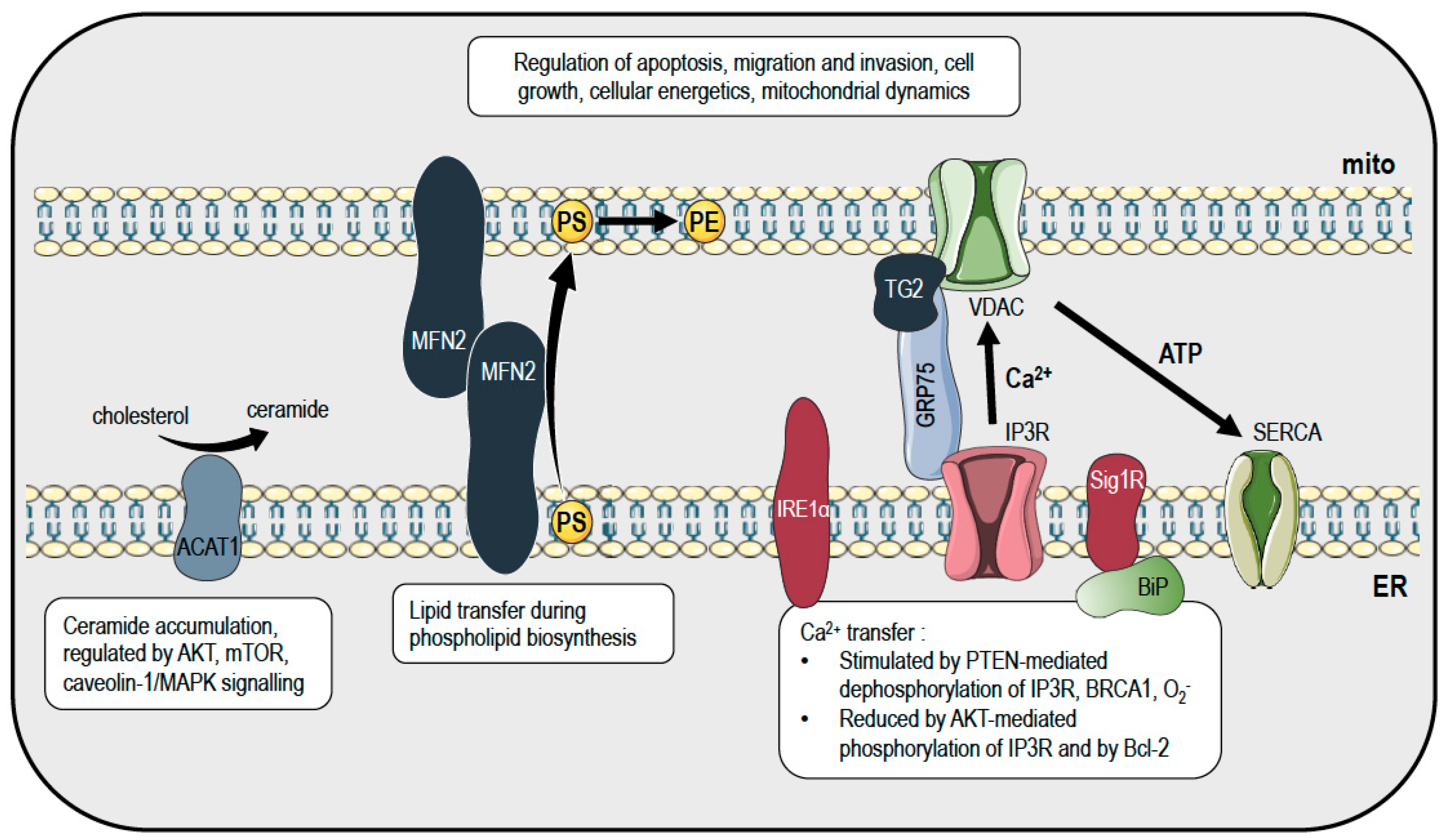 Cancers 12 02574 g001 Cancers 12 02574 g001