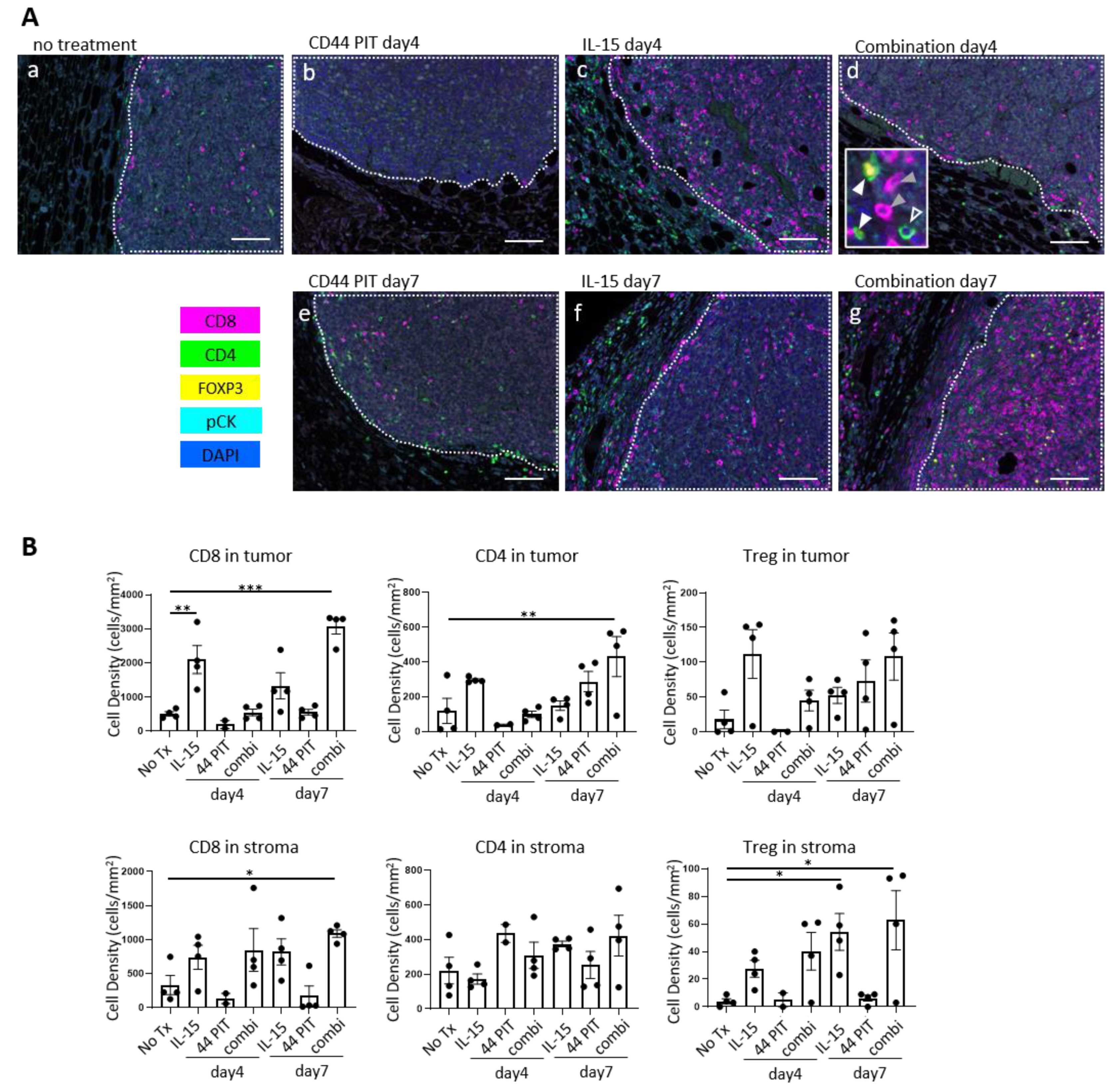 Cancers 12 02575 g002 Cancers 12 02575 g002