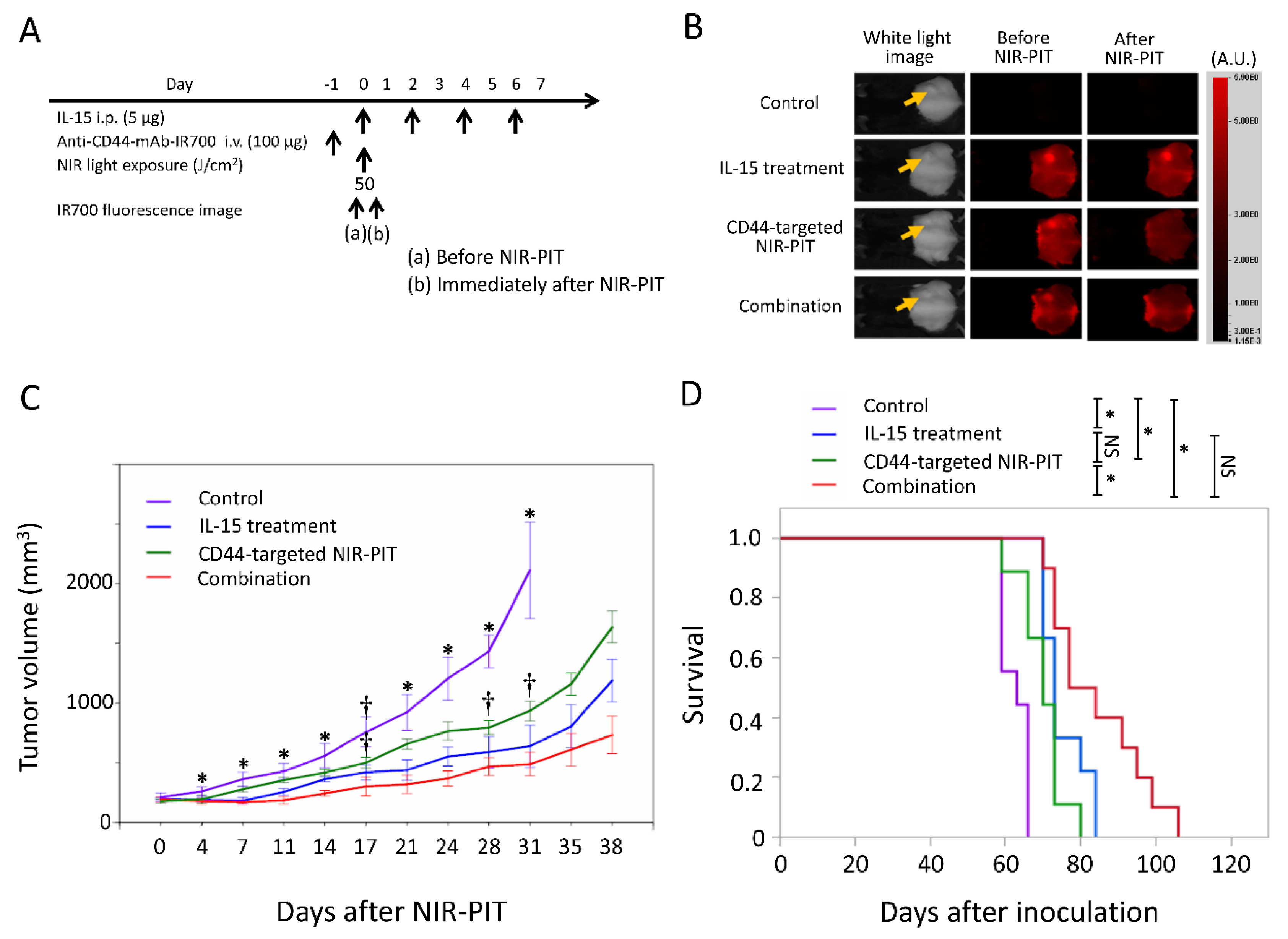 Cancers 12 02575 g004 Cancers 12 02575 g004