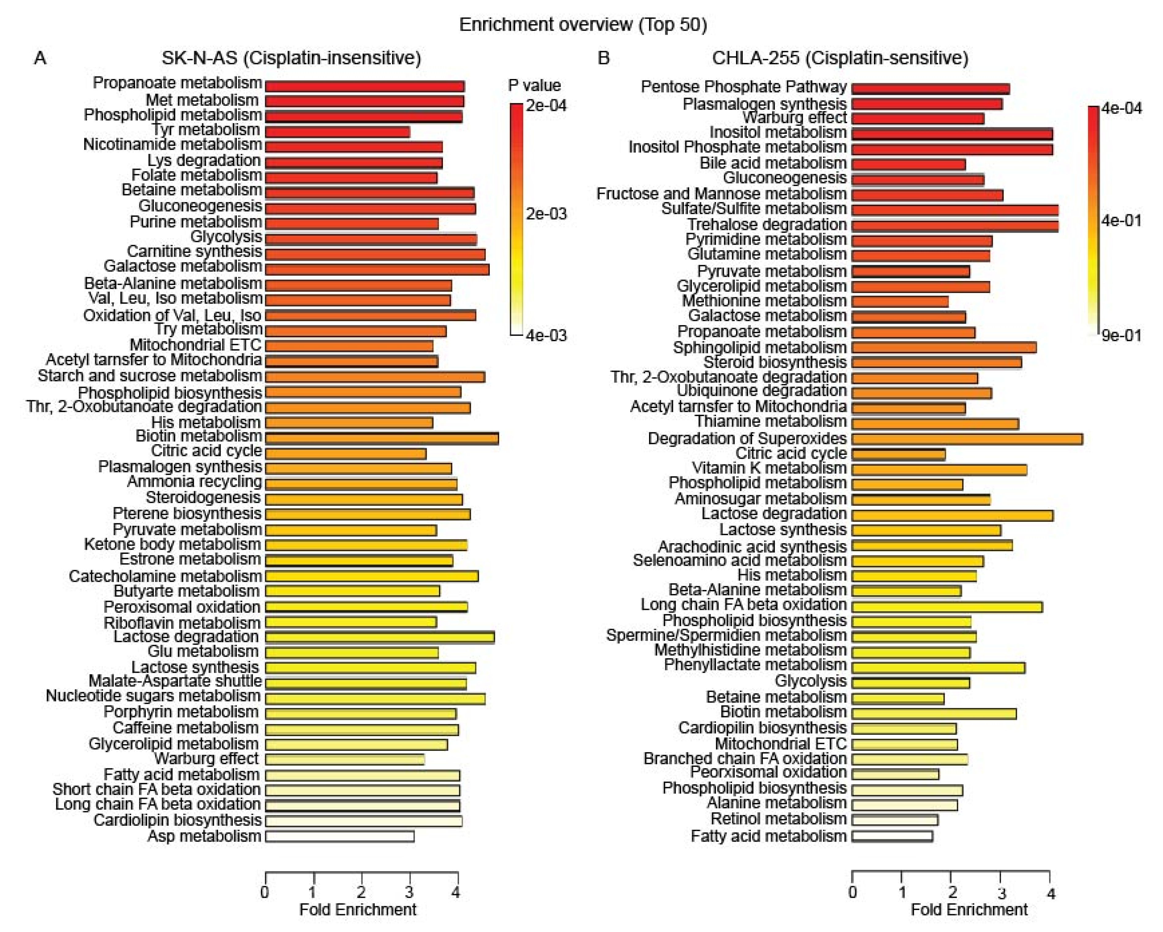 Cancers 12 02576 g002