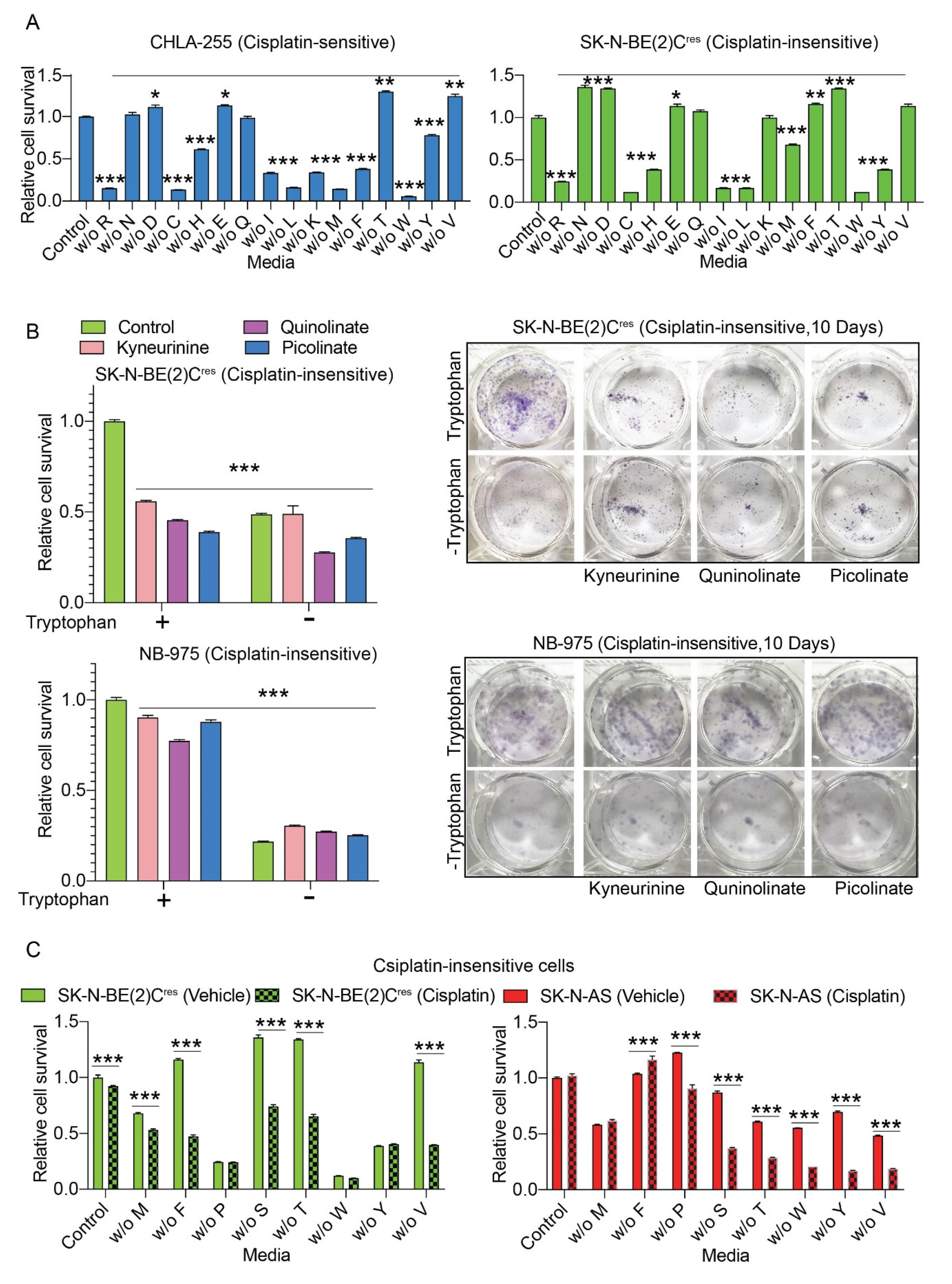 Cancers 12 02576 g004