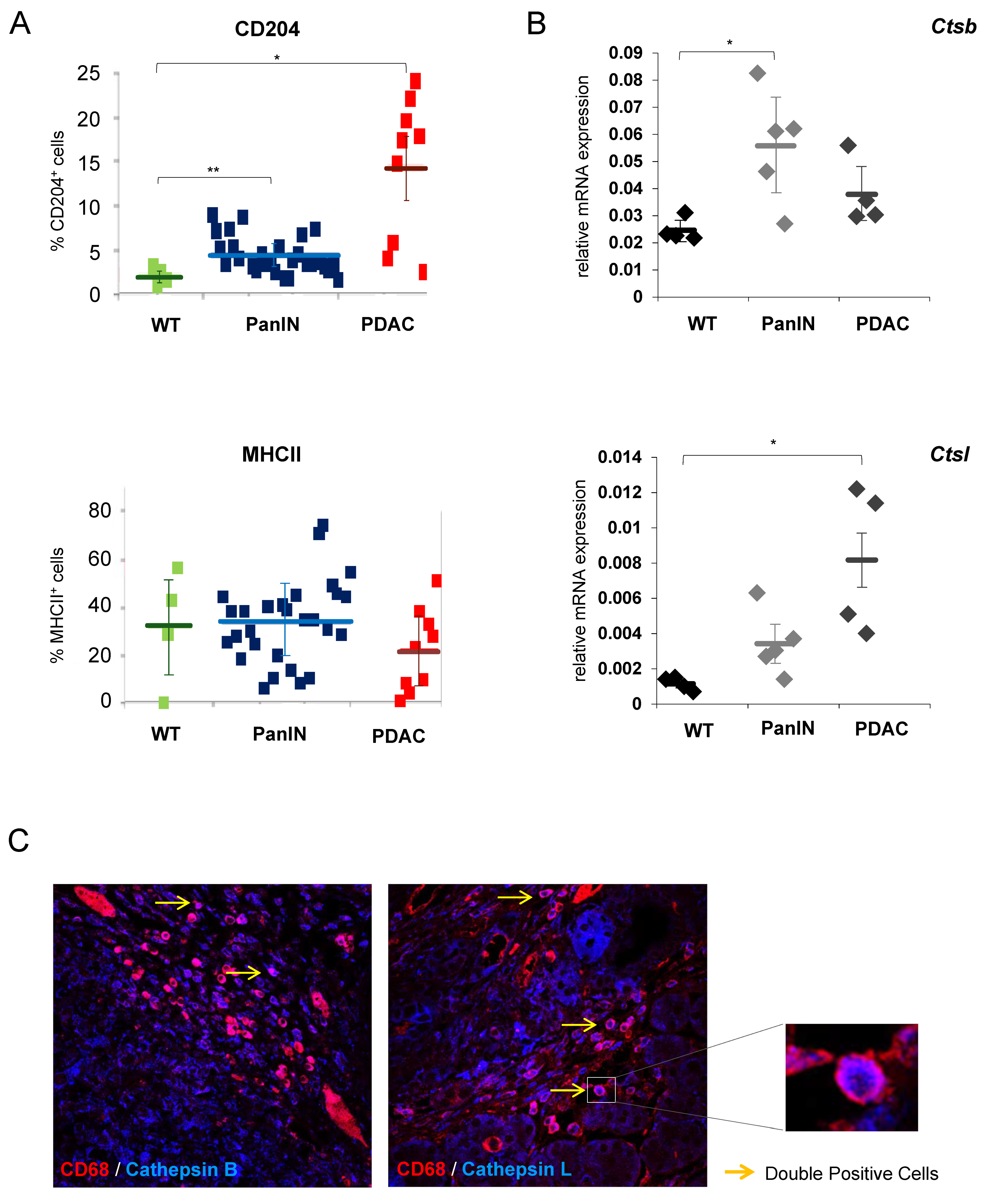 Cancers 12 02579 g001 Cancers 12 02579 g001