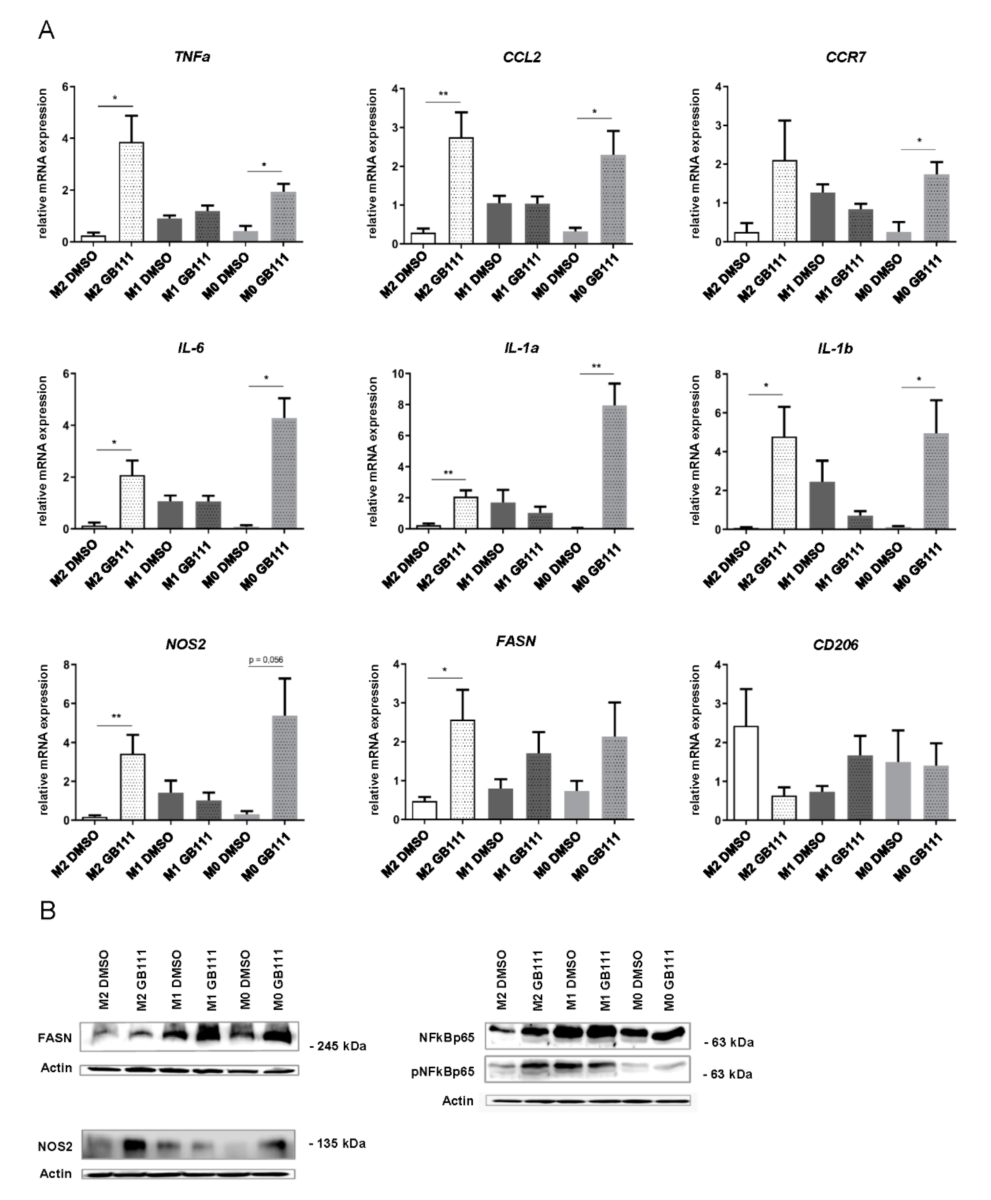 Cancers 12 02579 g006 Cancers 12 02579 g006