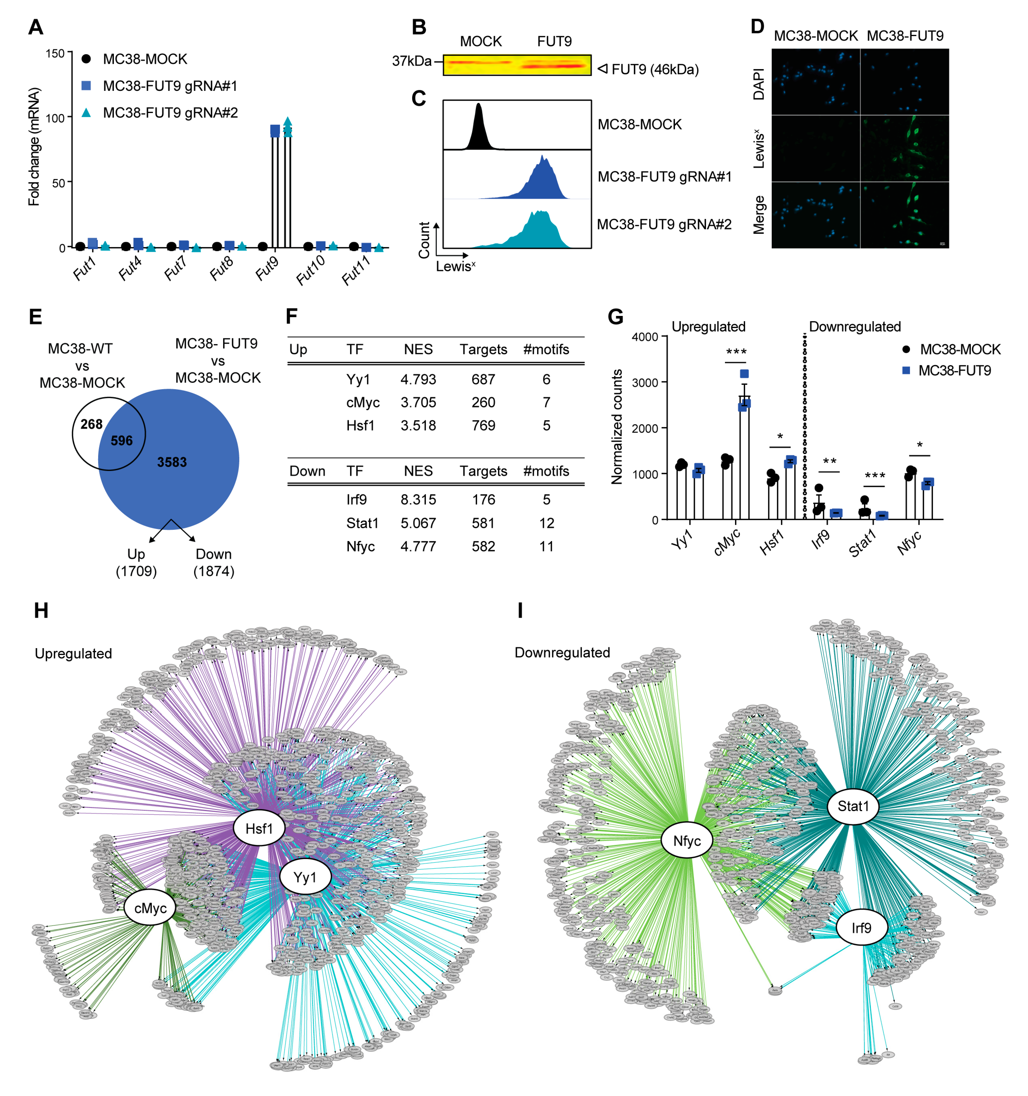 Cancers 12 02580 g001