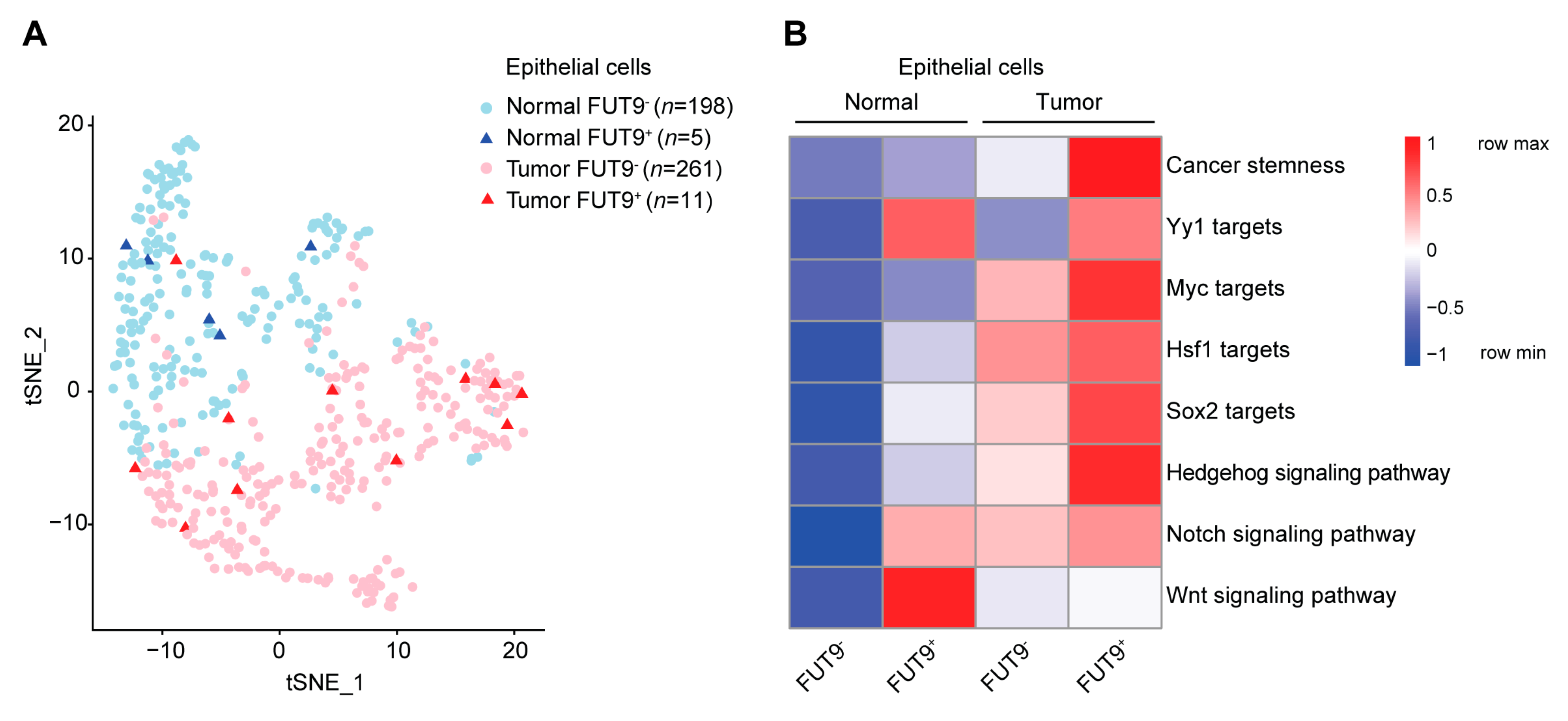 Cancers 12 02580 g005