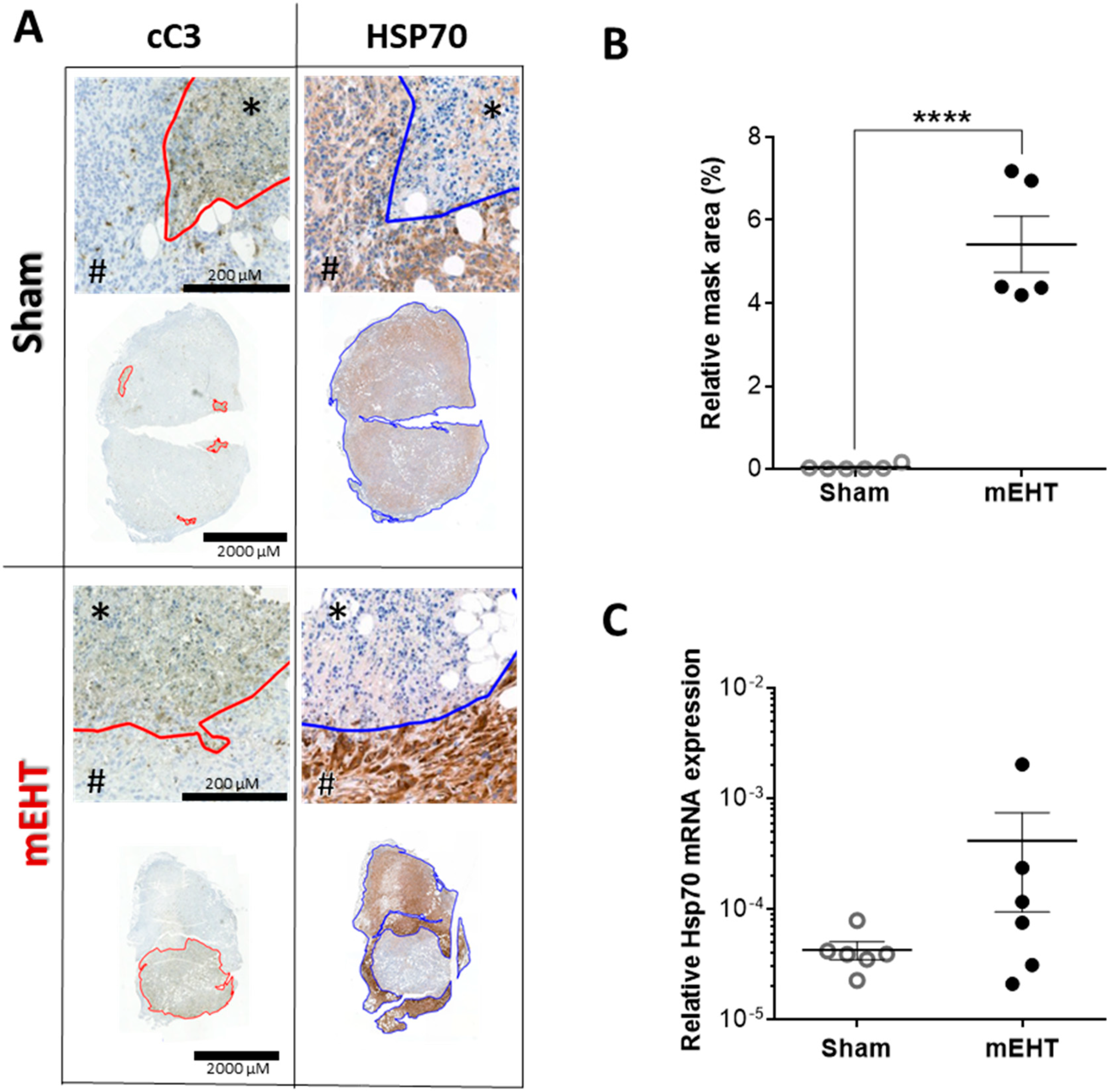 Cancers 12 02581 g007