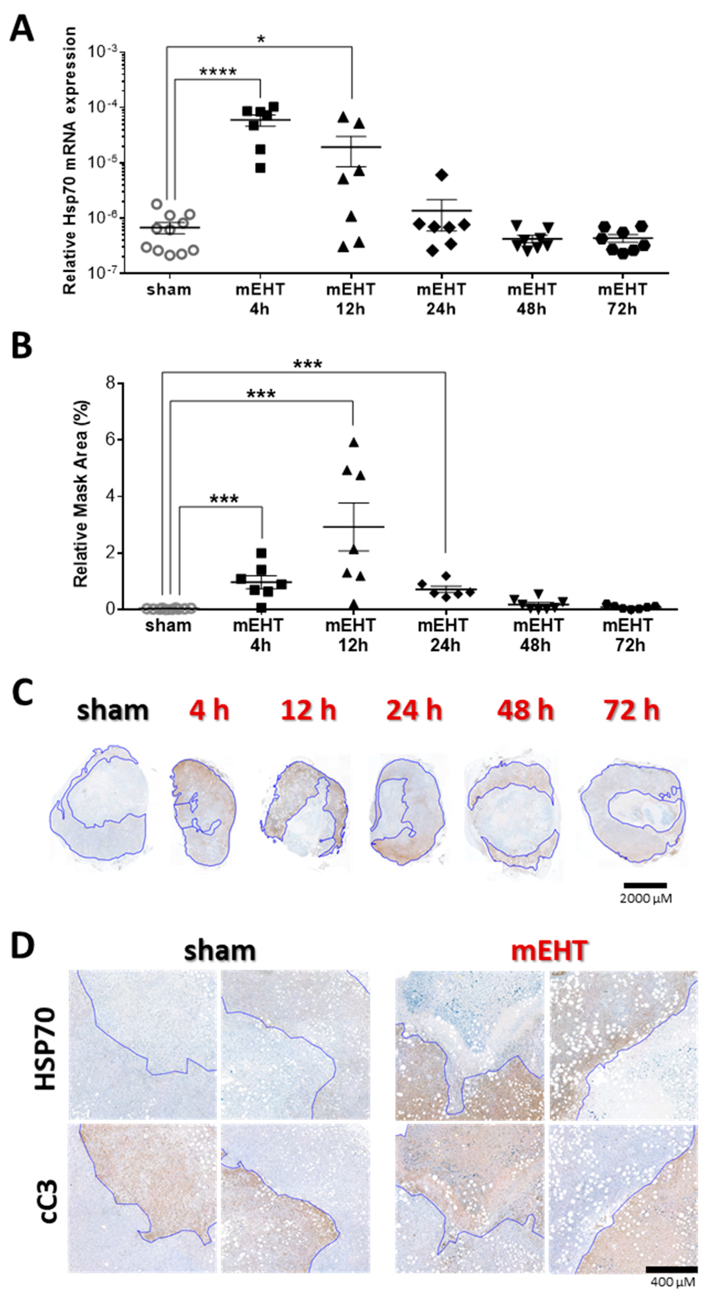 Cancers 12 02581 g008