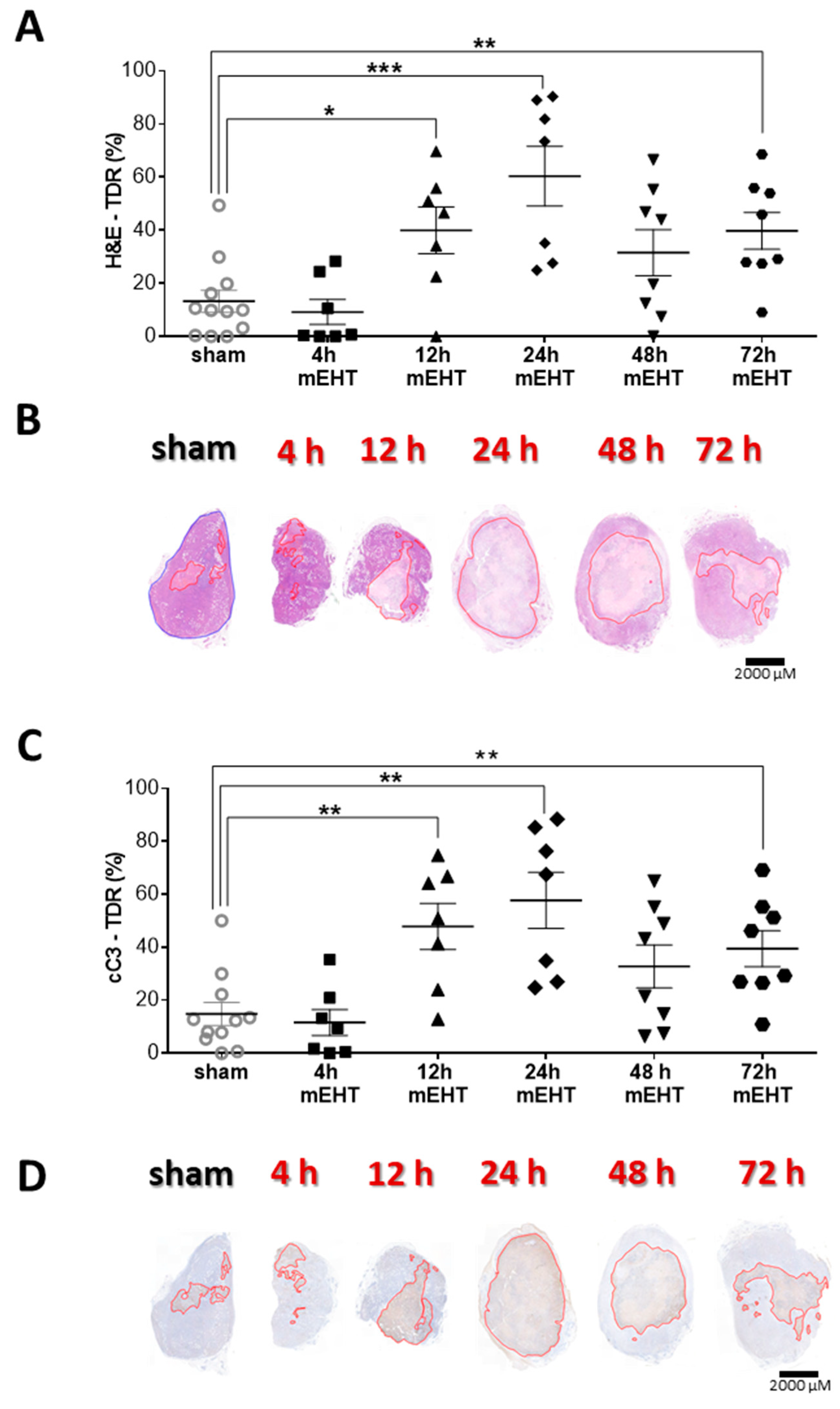 Cancers 12 02581 g009