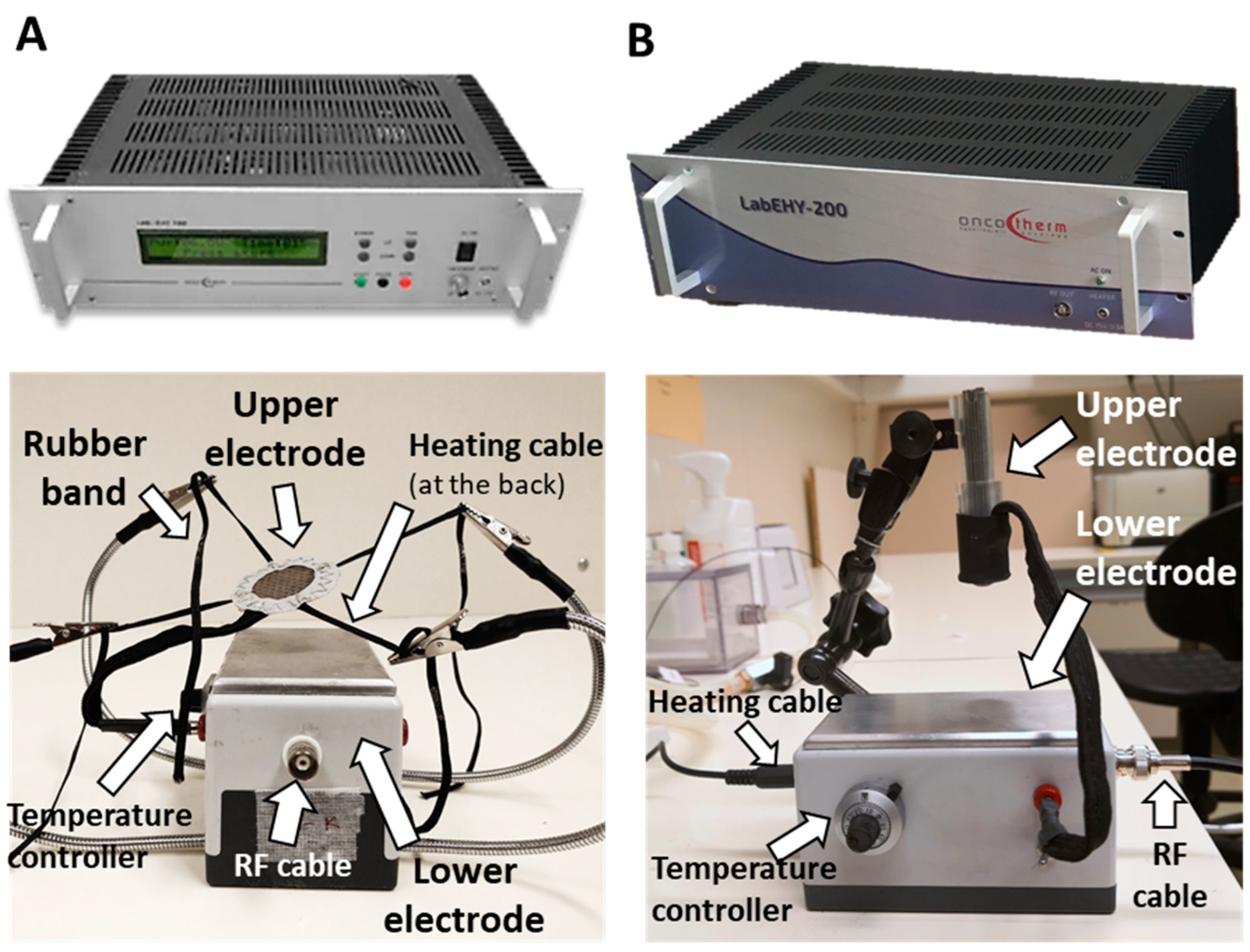 Cancers 12 02581 g011