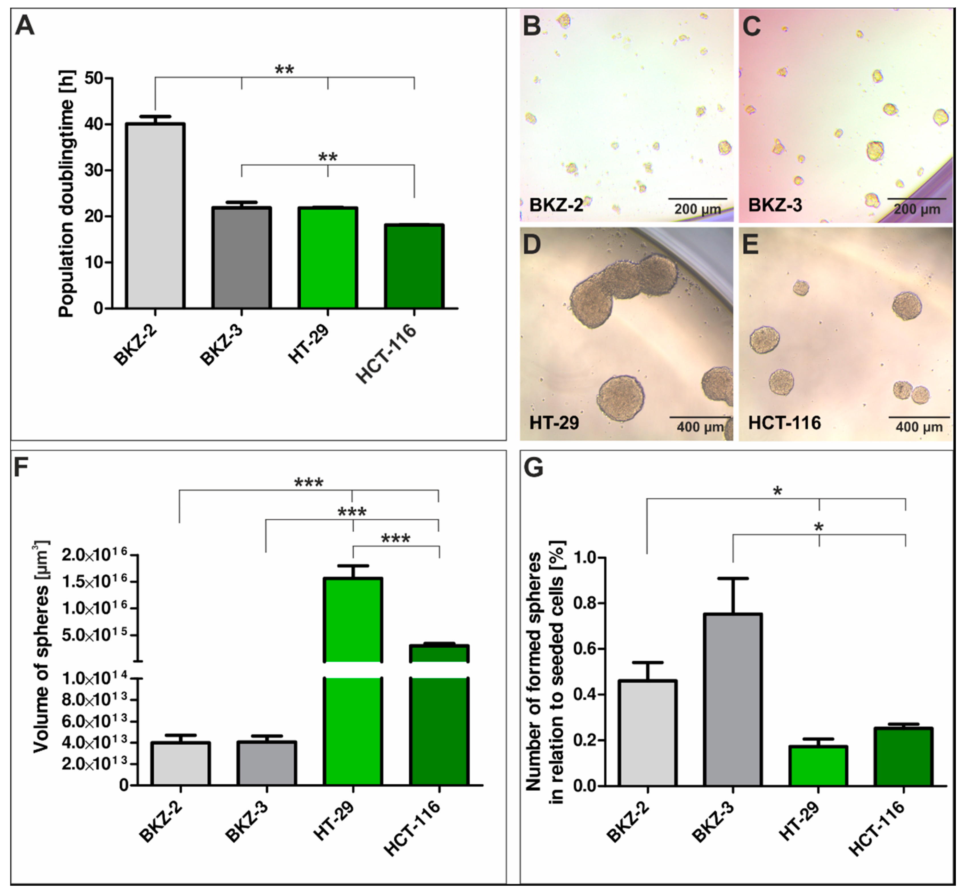Cancers 12 02582 g004 Cancers 12 02582 g004