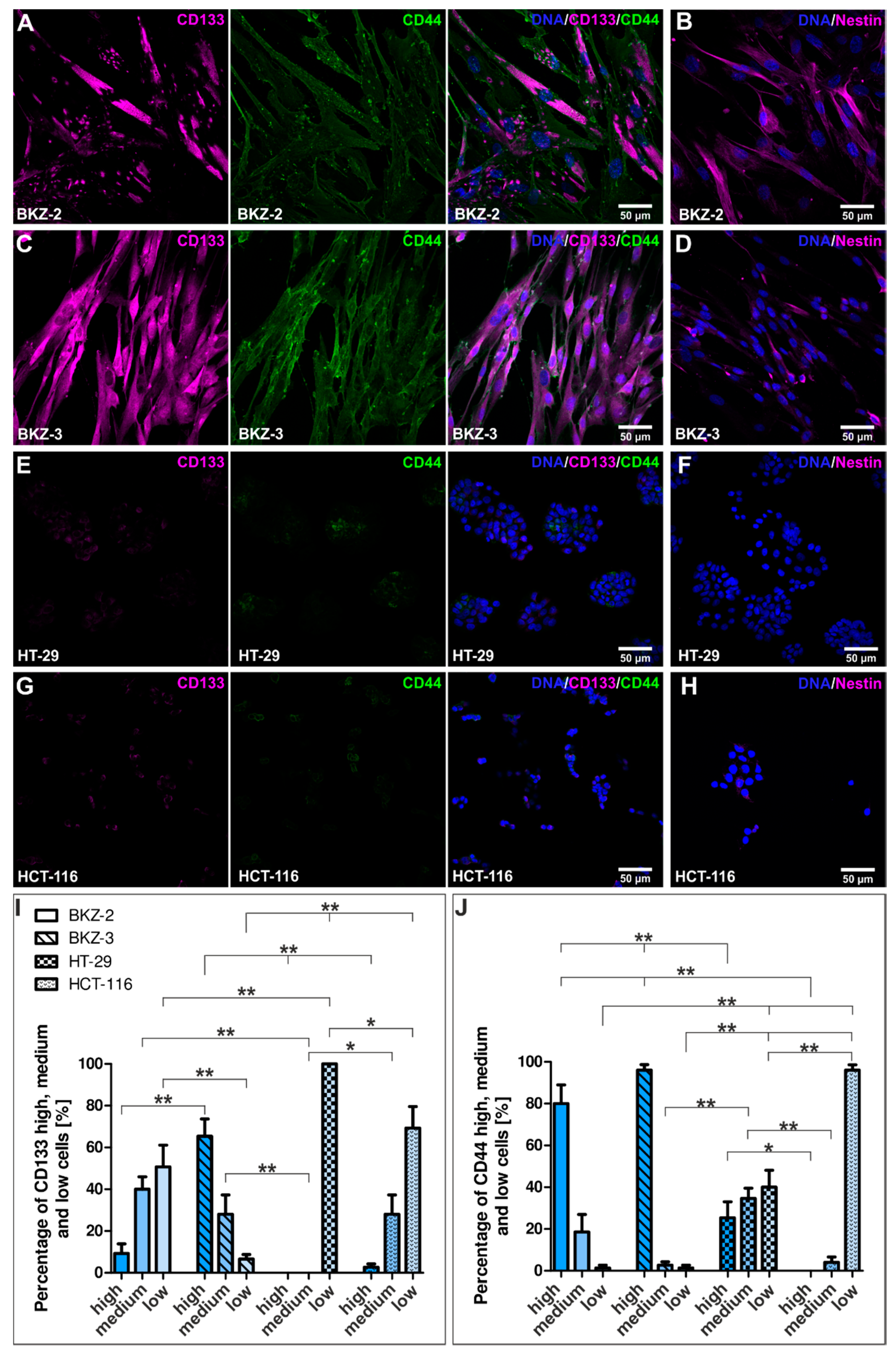 Cancers 12 02582 g005 Cancers 12 02582 g005