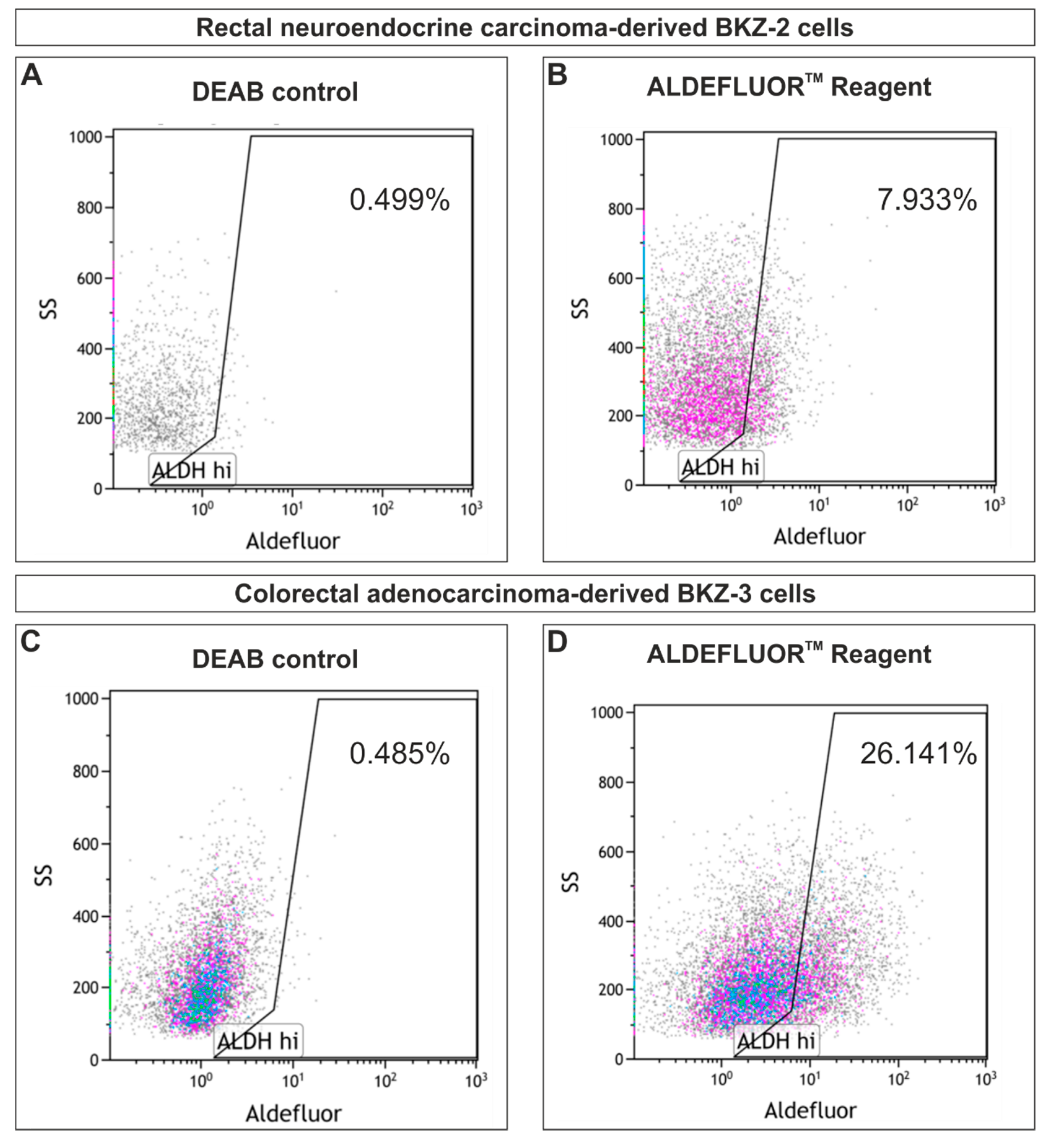 Cancers 12 02582 g006 Cancers 12 02582 g006