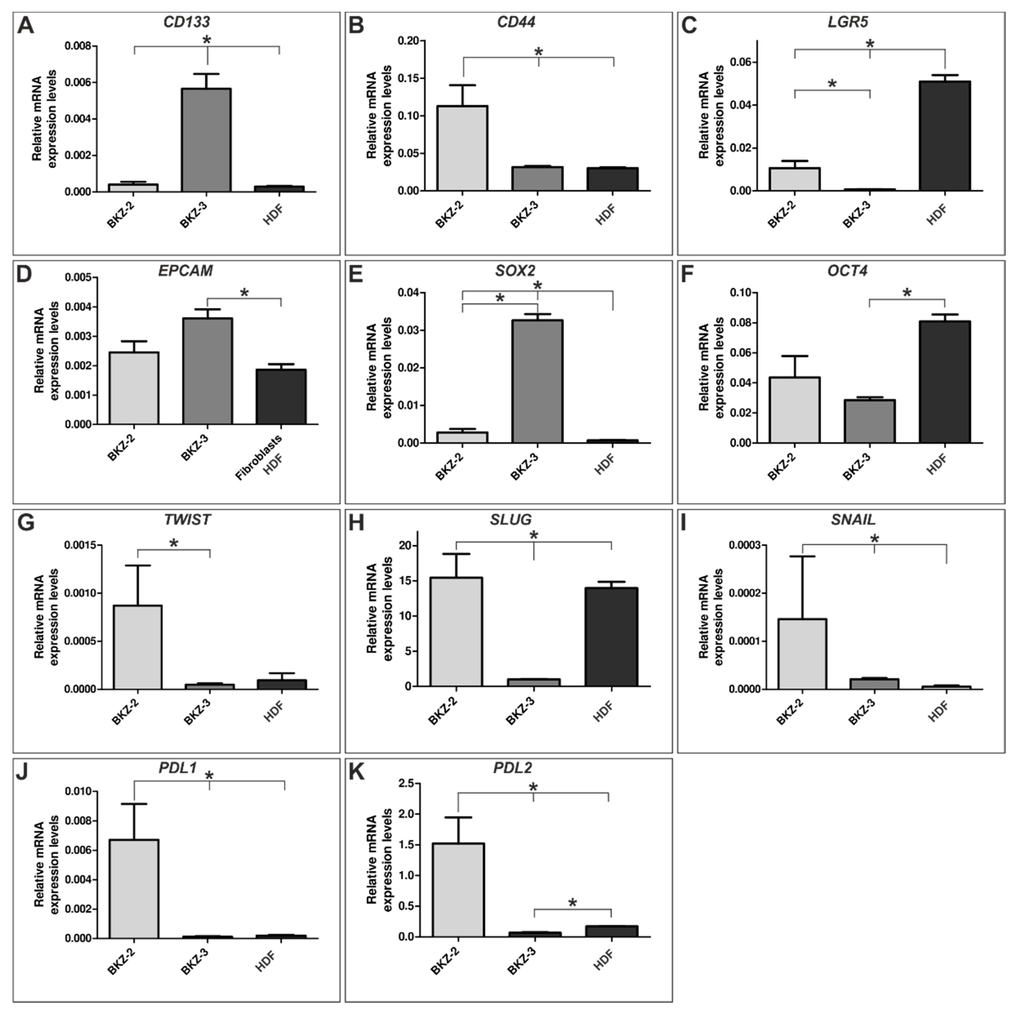 Cancers 12 02582 g007 Cancers 12 02582 g007