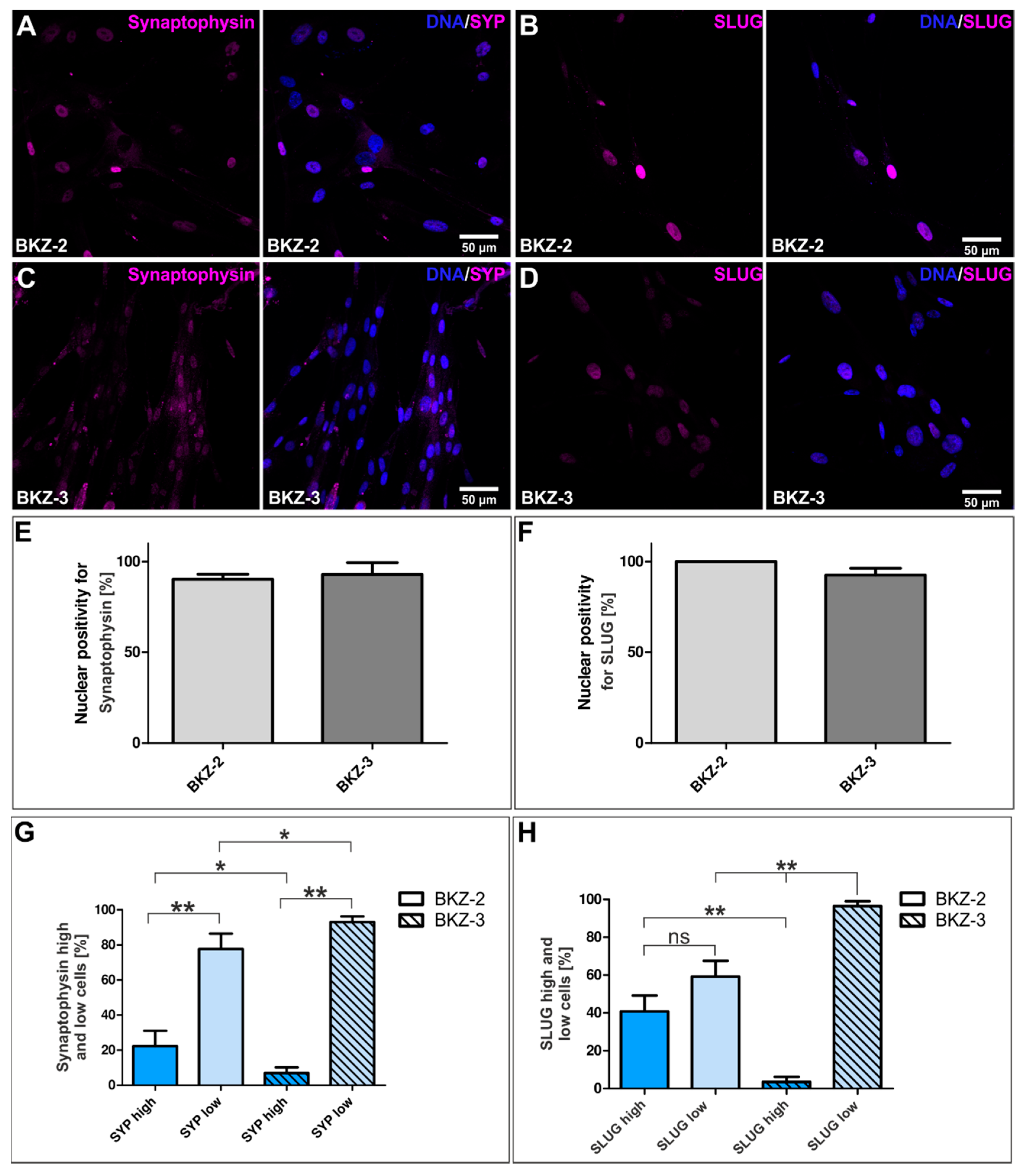 Cancers 12 02582 g008 Cancers 12 02582 g008