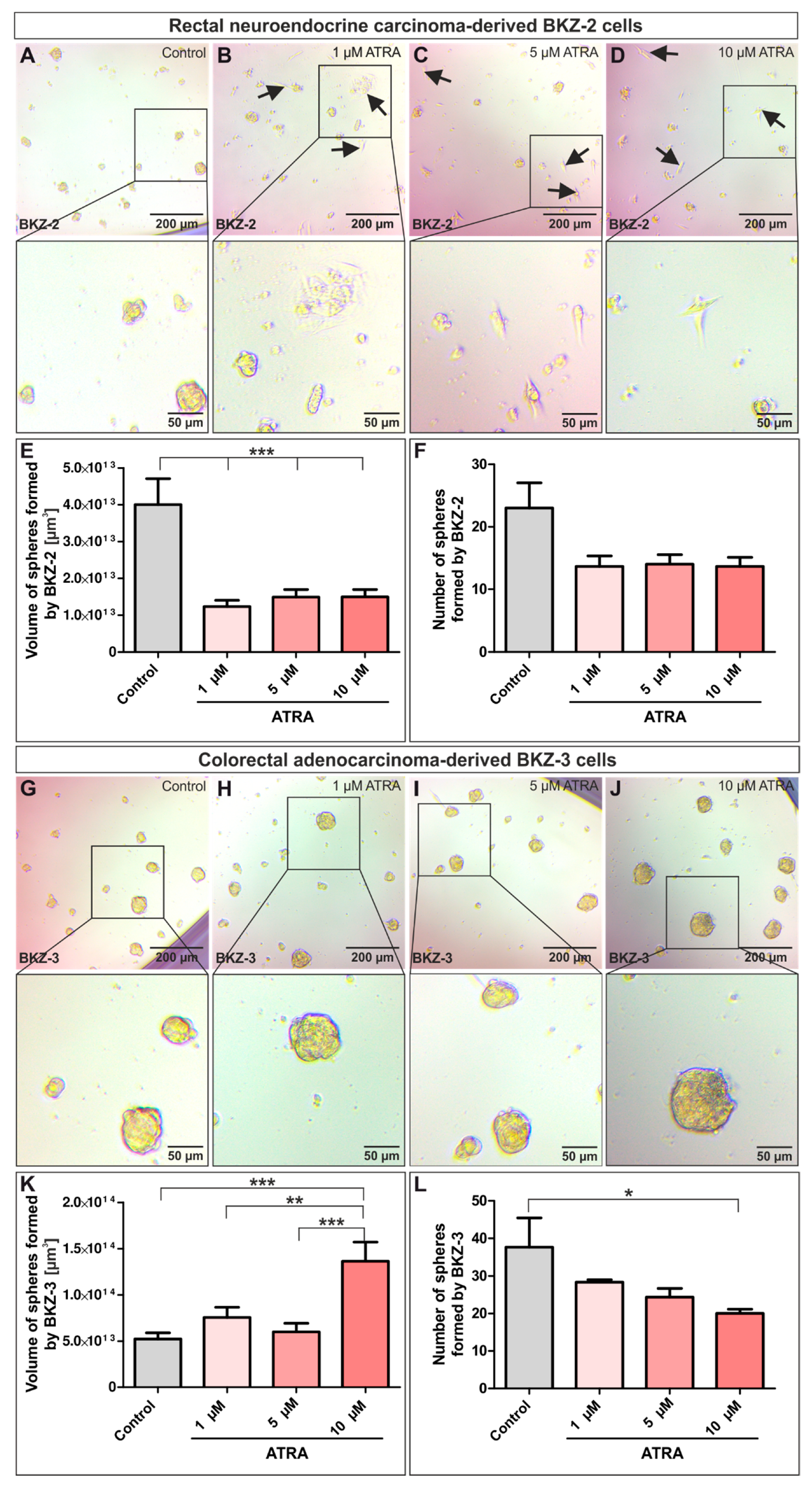 Cancers 12 02582 g009 Cancers 12 02582 g009